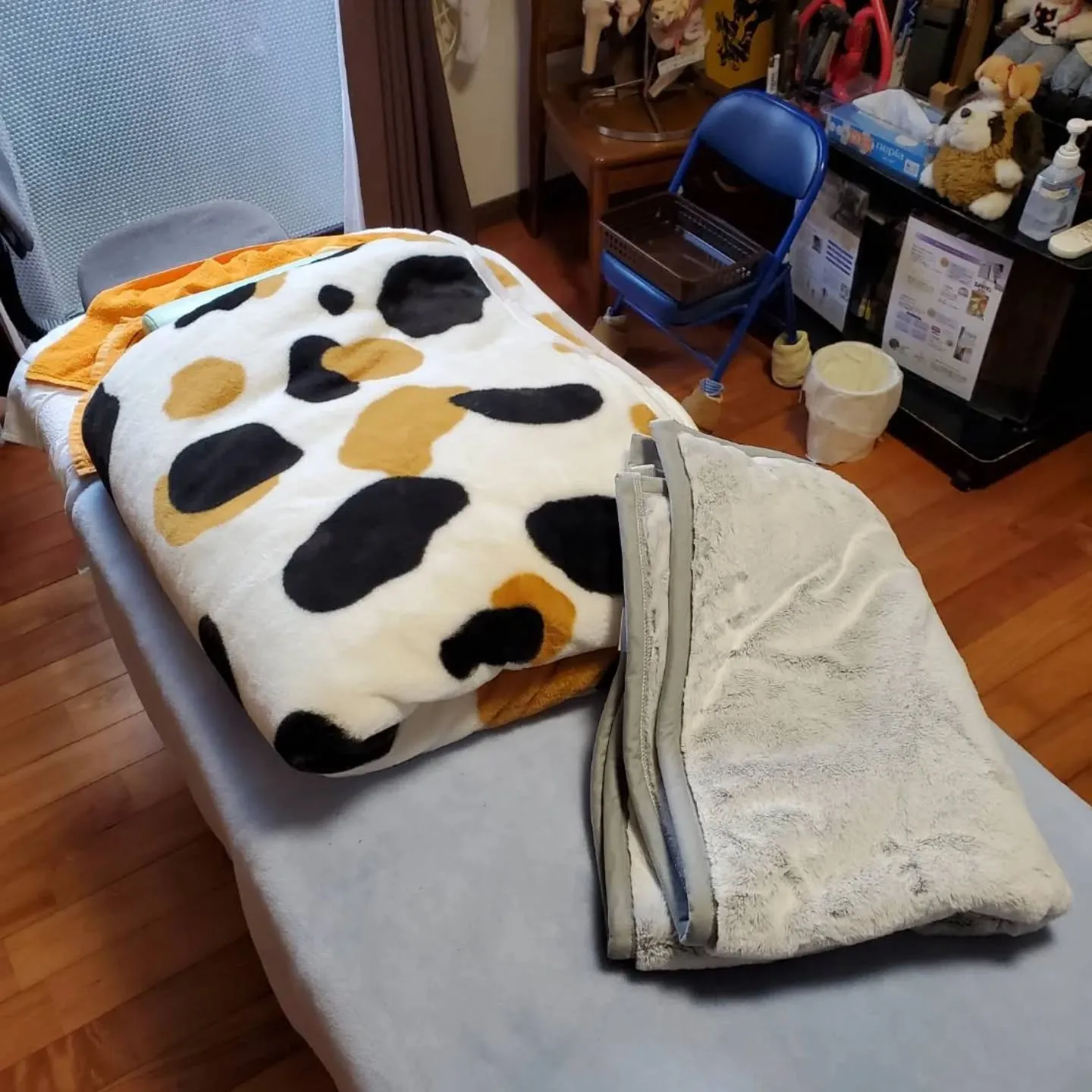 ニッセンの猫フィール、新たにブランケットを導入❗😆😆😆