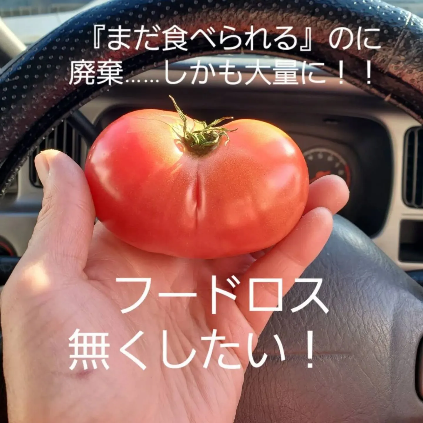 年末に、八代市でトマト農家をしている若い男性のインスタを見て...