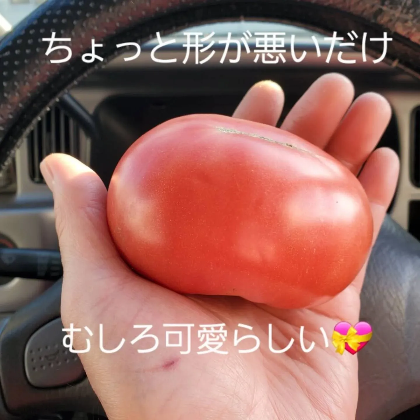 経過報告です。