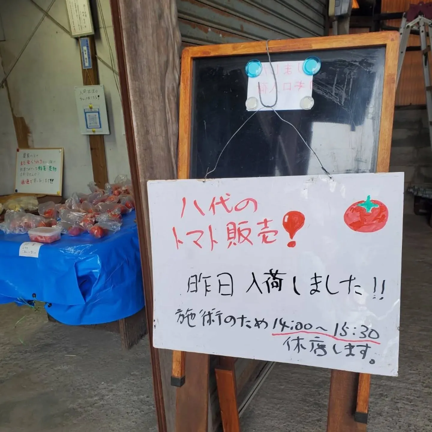 昨日入荷の八代トマト販売します。