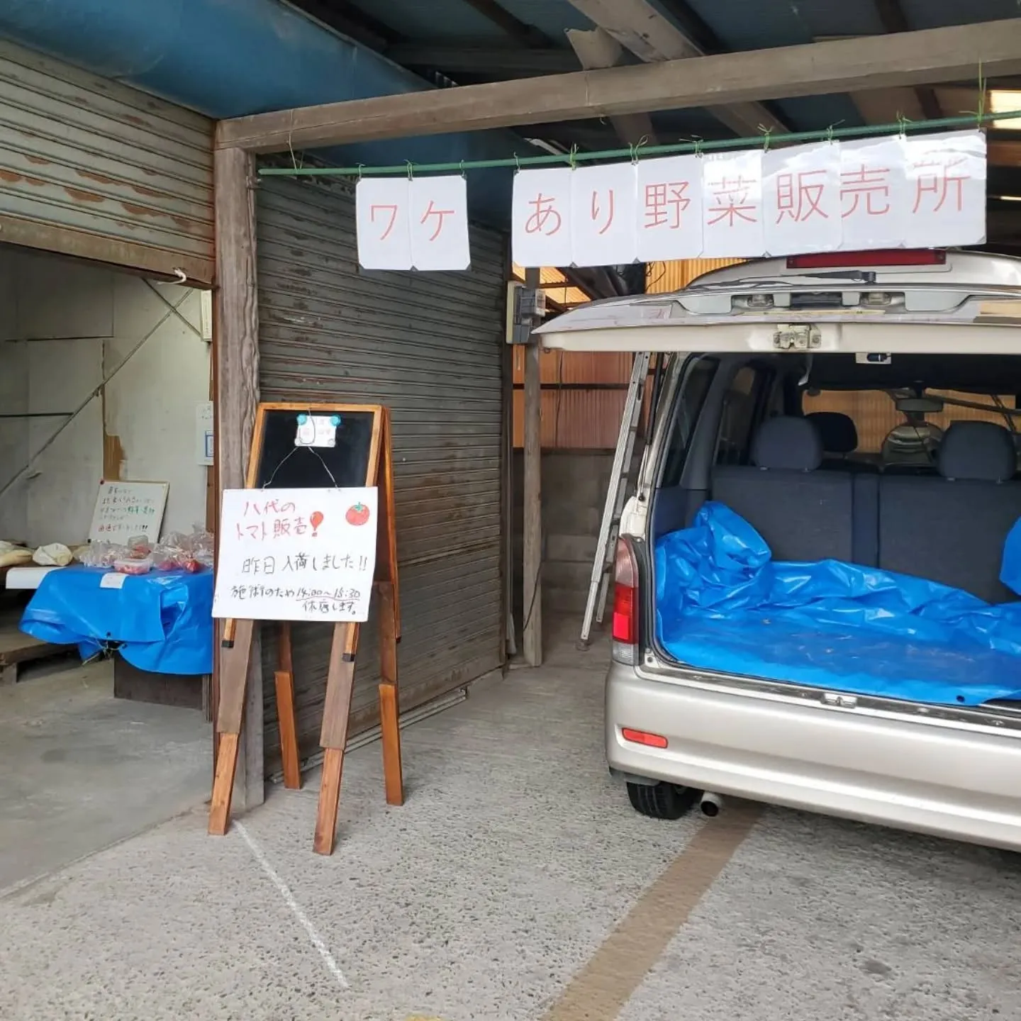 昨日入荷の八代トマト販売します。