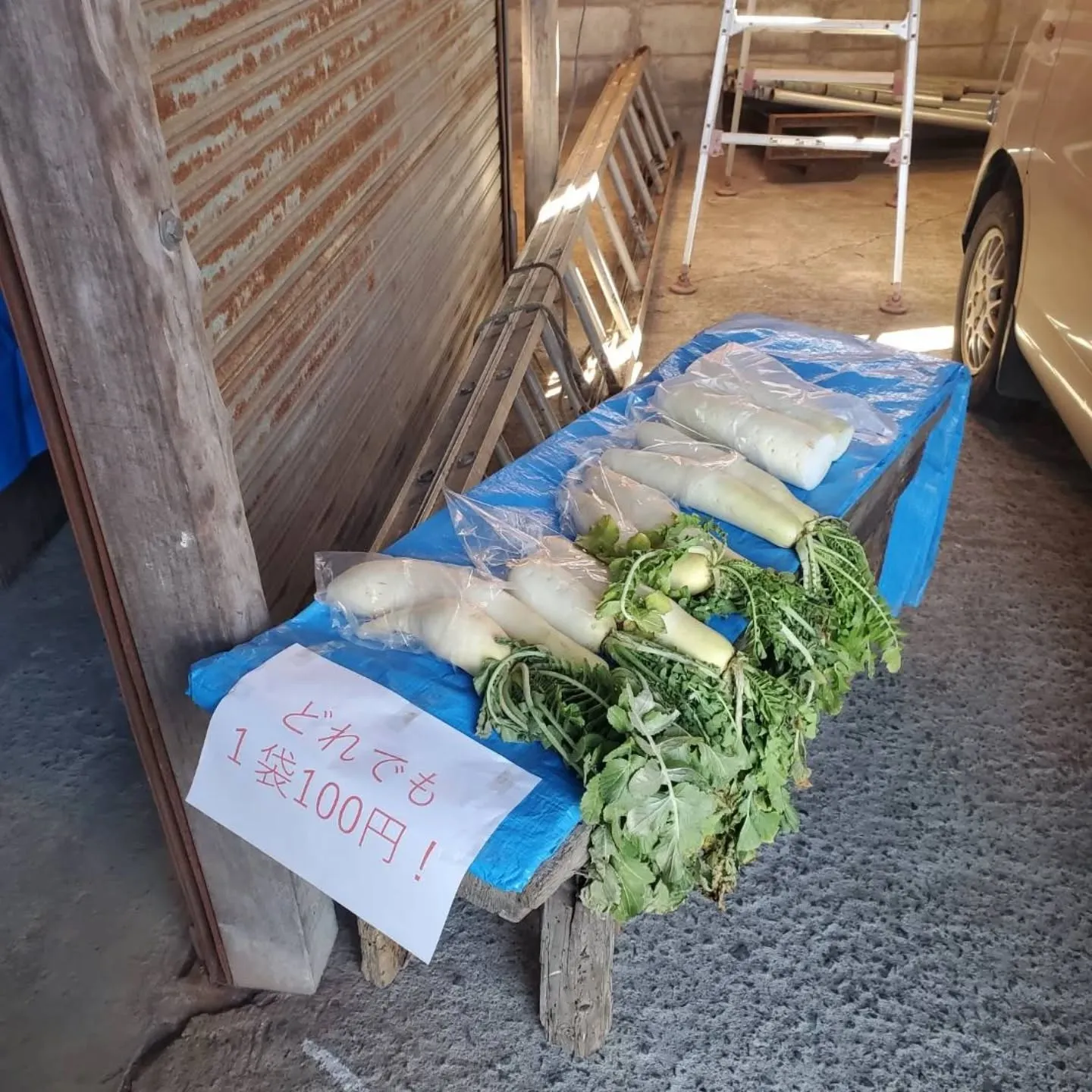 ワケあり野菜果物販売所