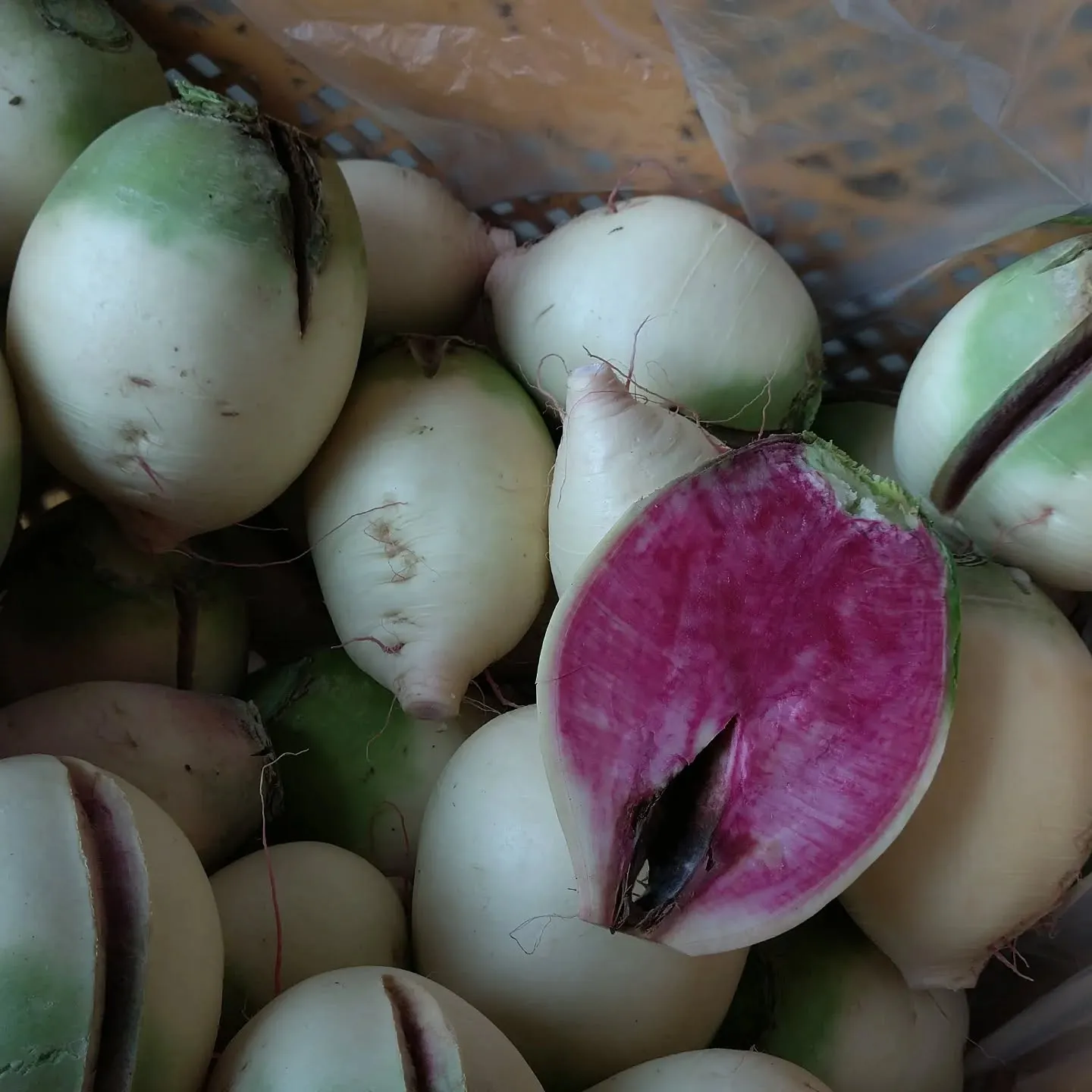 整体院ましき健友館敷地内の「ワケあり野菜果物販売所」です。