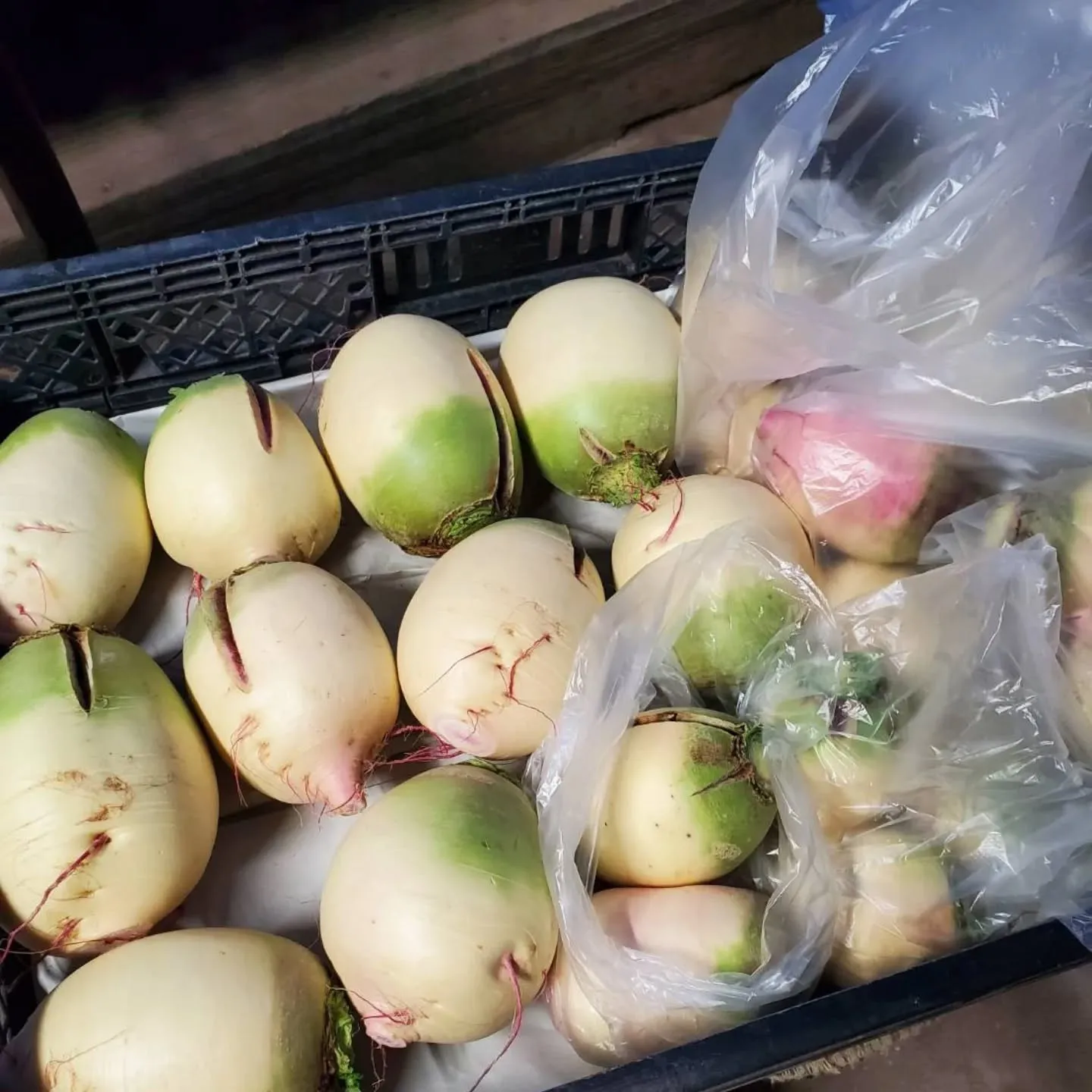 整体院ましき健友館敷地内の「ワケあり野菜果物販売所」です。