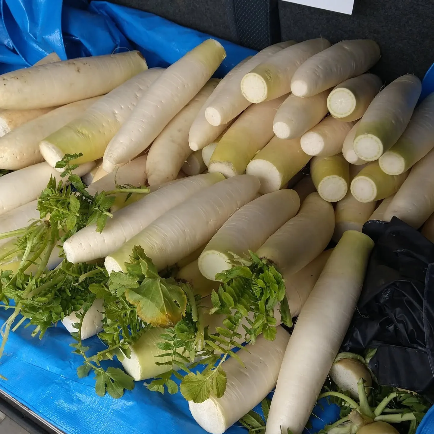 整体院ましき健友館敷地内の「ワケあり野菜果物販売所」です。