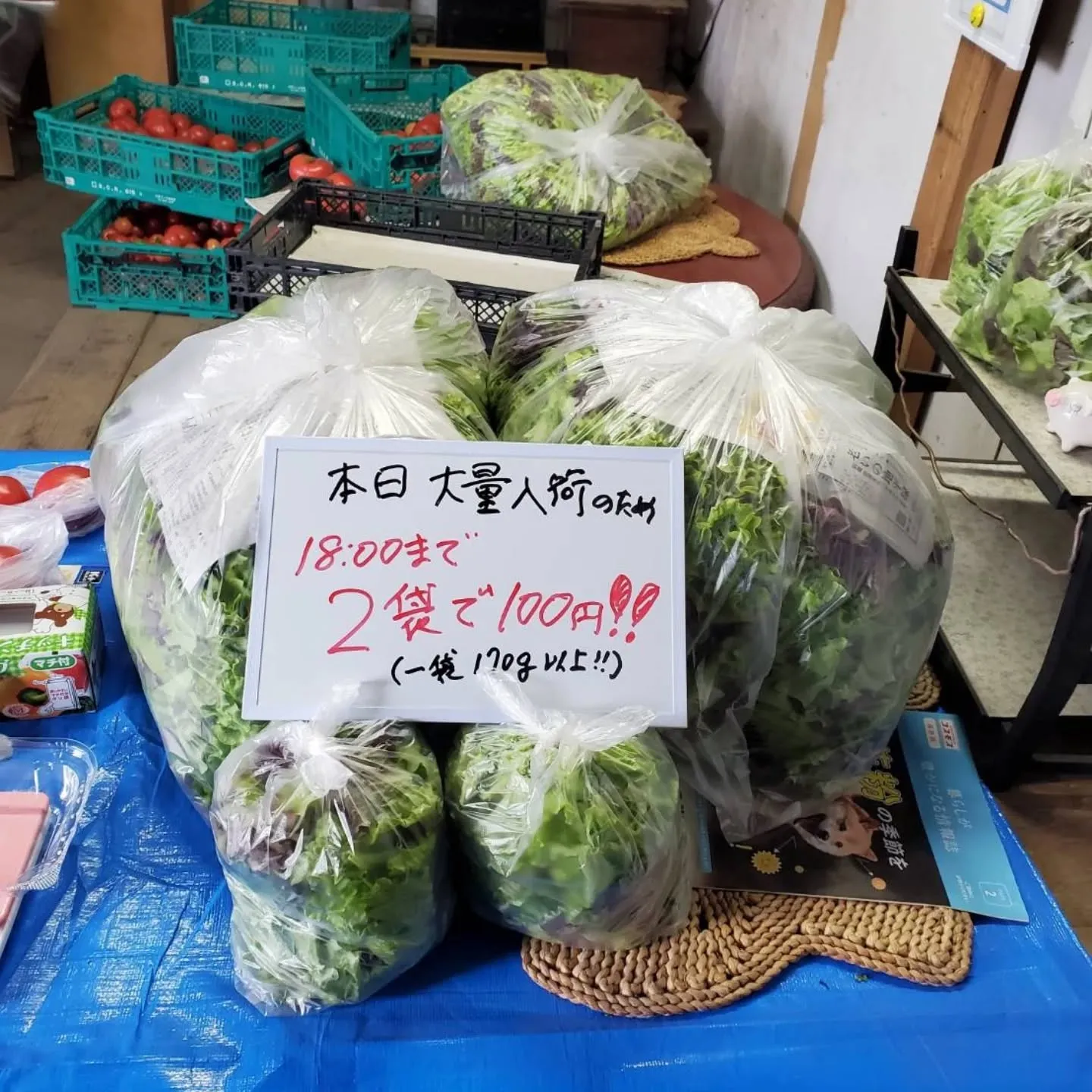 先ほど、ベビーリーフが大量入荷したため、只今より午後6時まで...