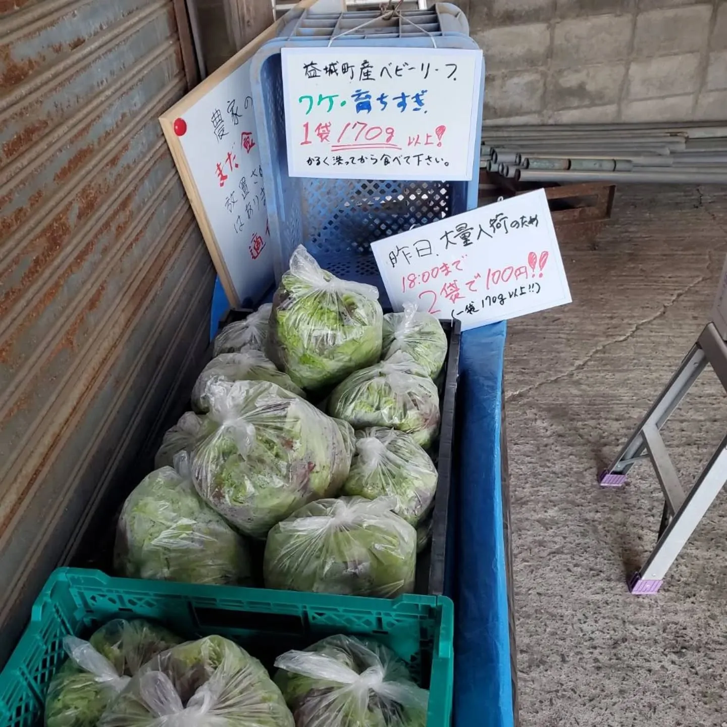おはようございます。