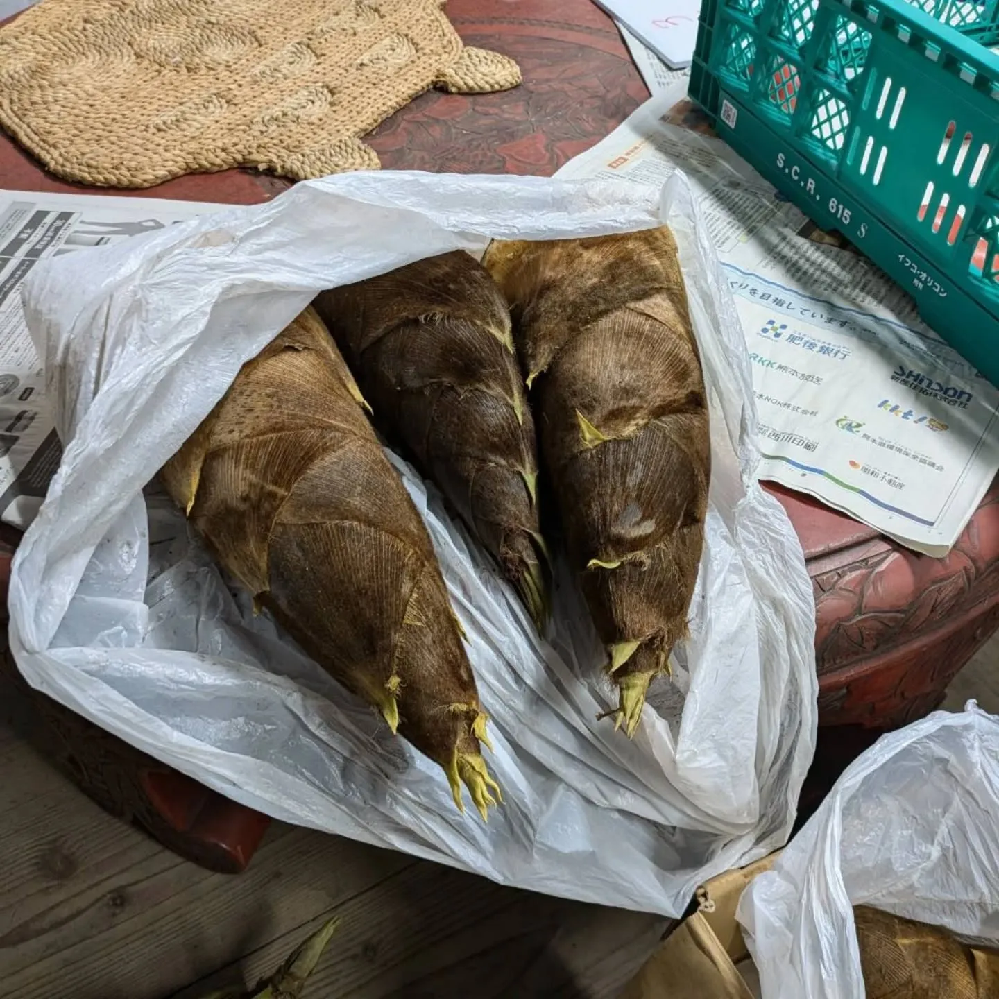 再び❗貴重な筍入荷出来ました‼️
