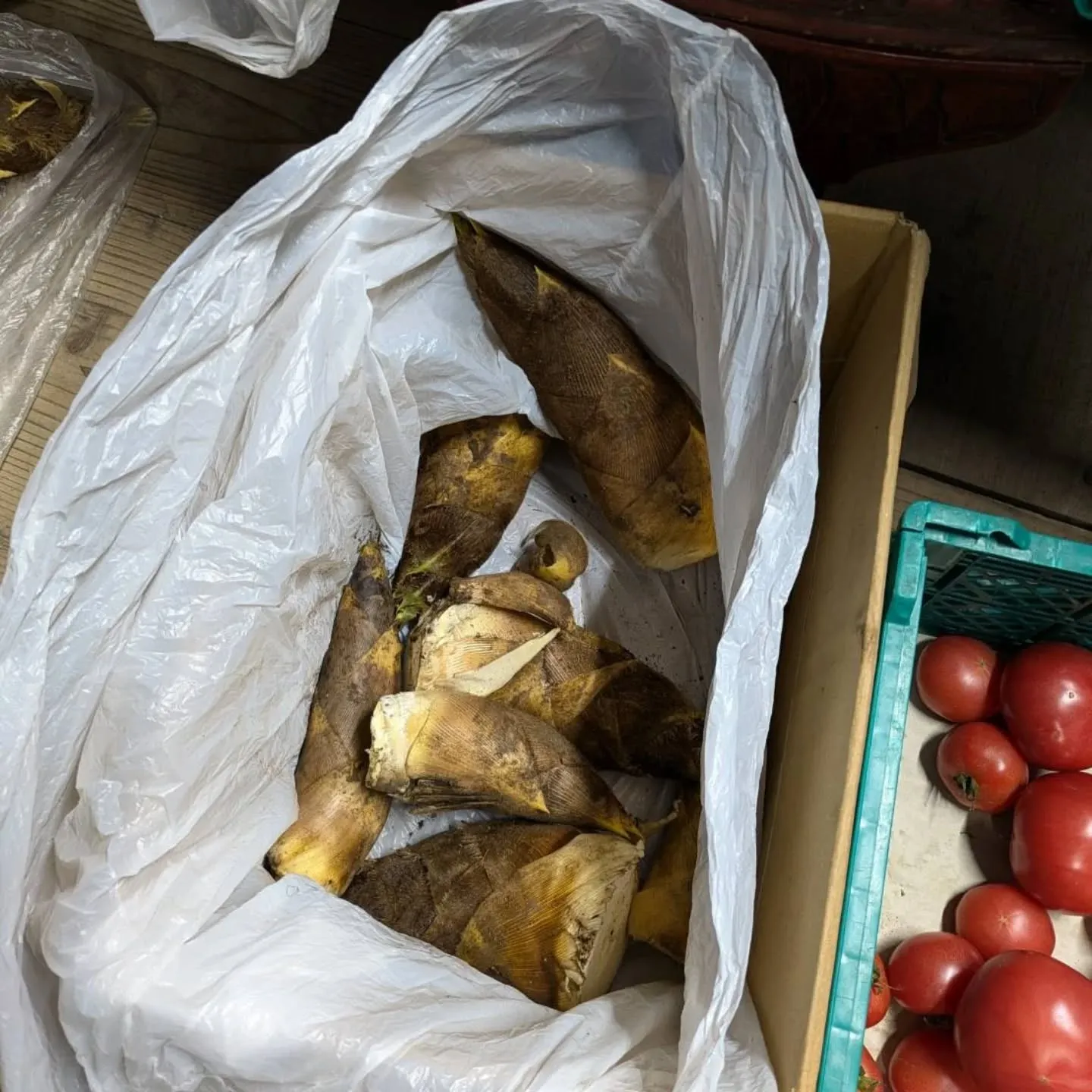 再び❗貴重な筍入荷出来ました‼️