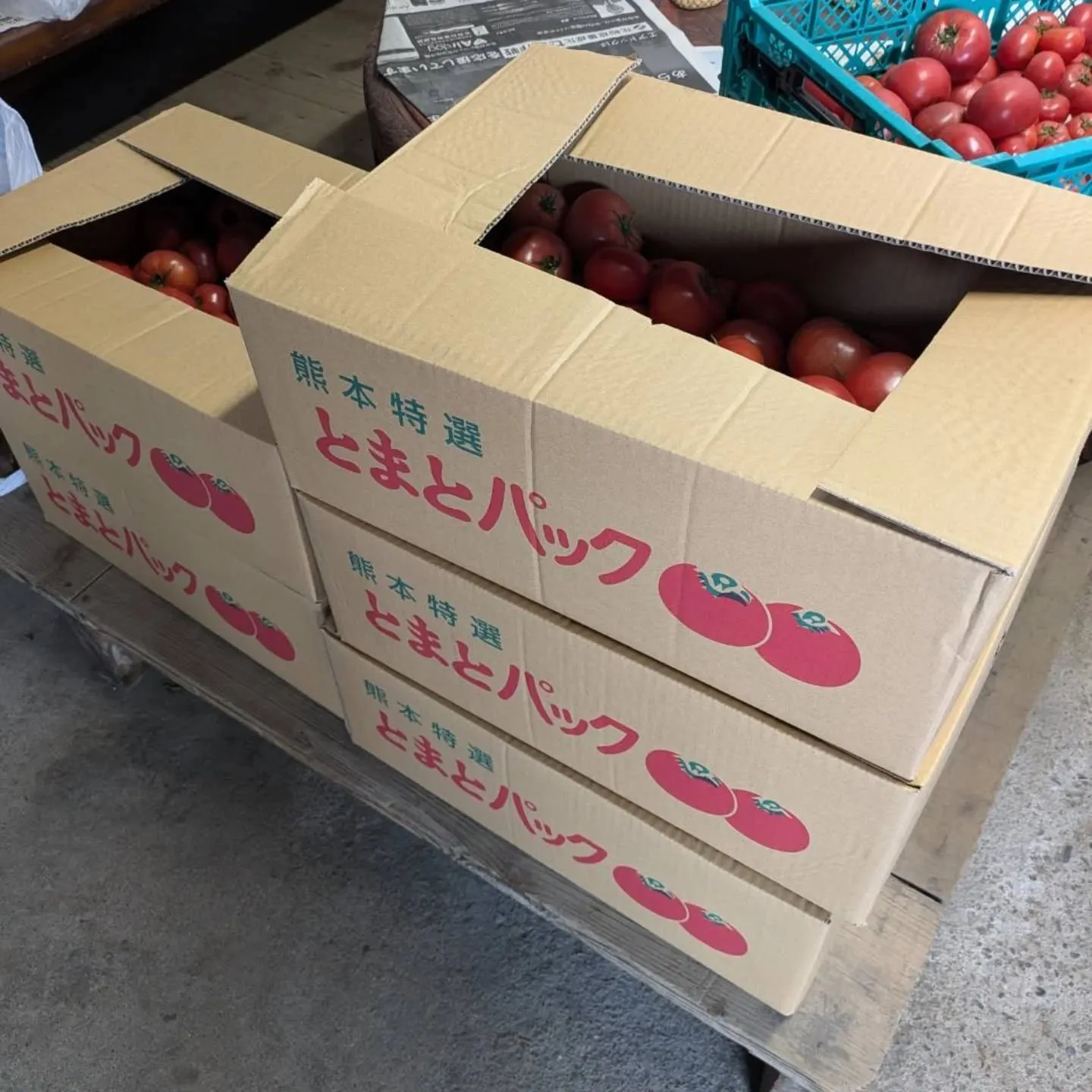 再び❗貴重な筍入荷出来ました‼️