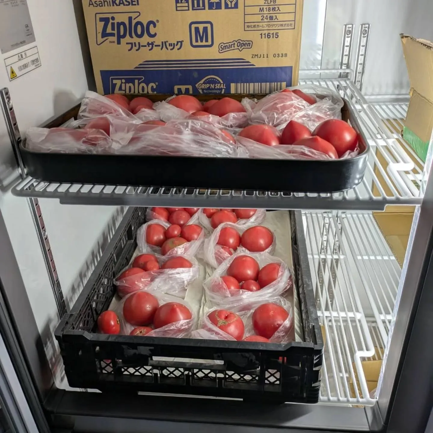 八代産トマト🍅