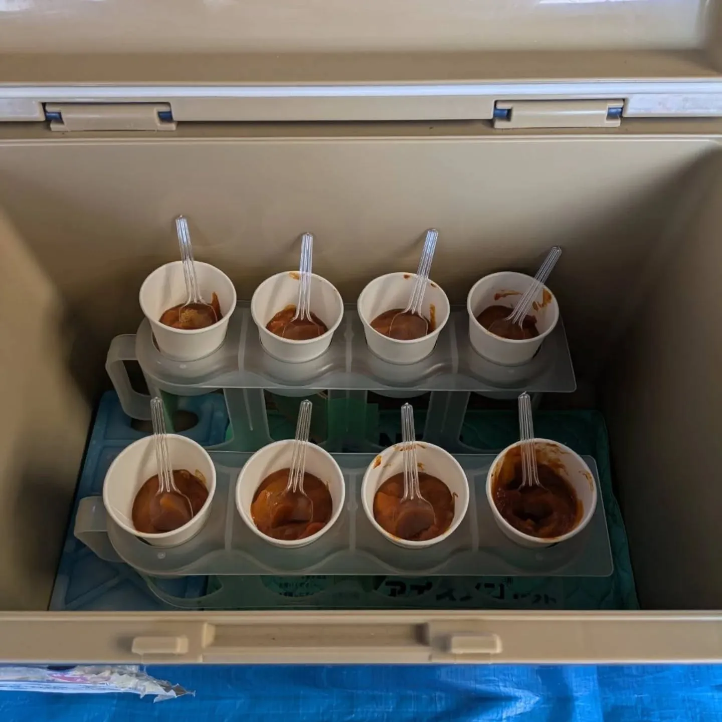 「巻かないレタス🥬」(ロメインレタス系)入荷しました‼️