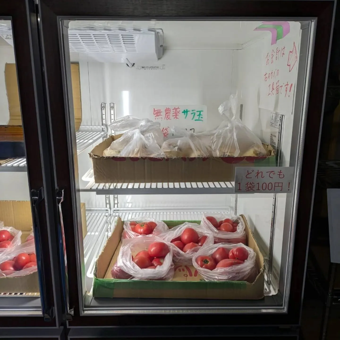 おはようございます。