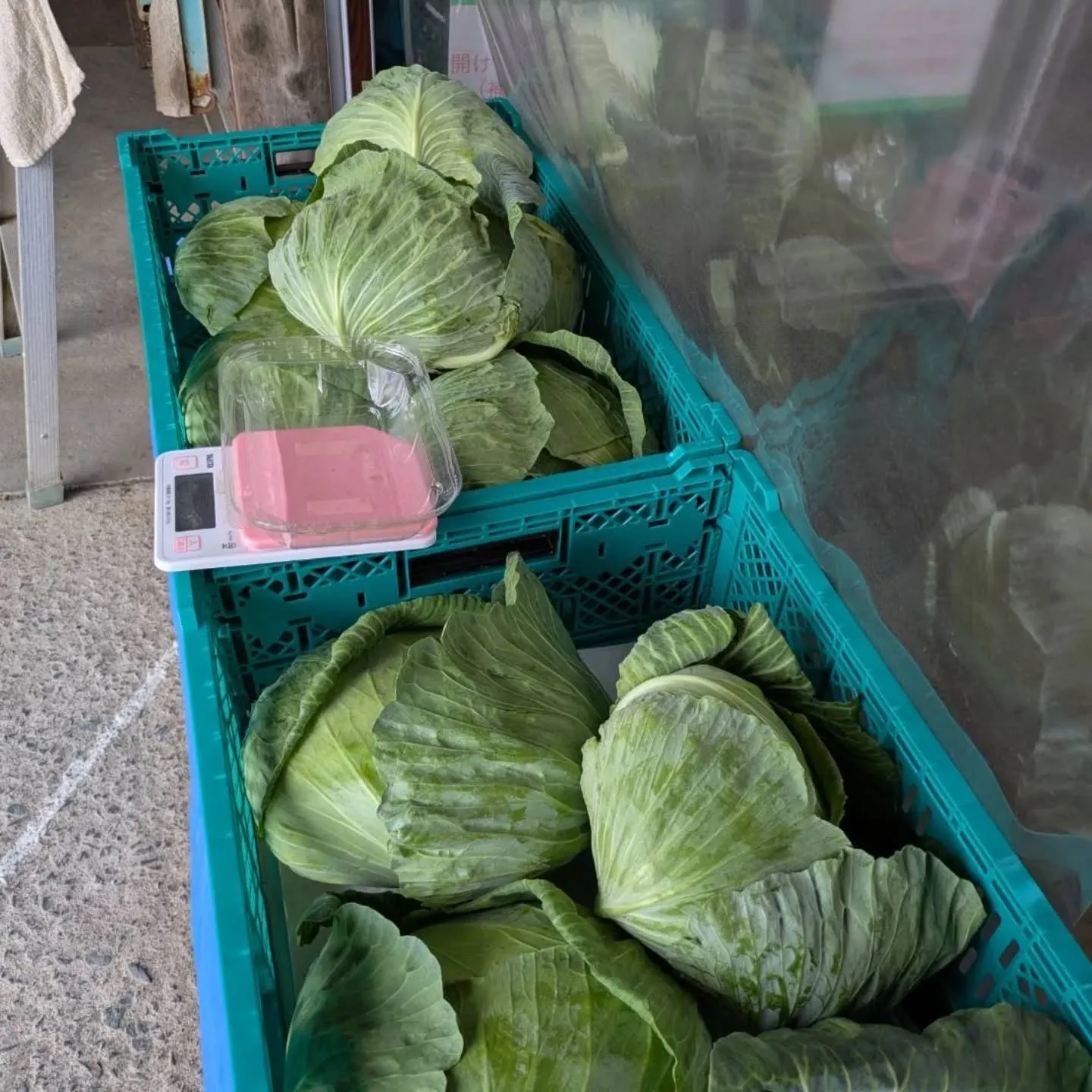 本日のワケあり野菜果物販売所の開店ですが…
