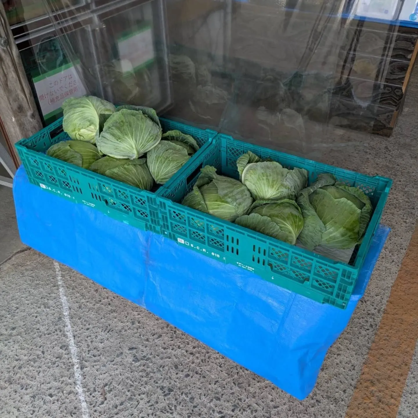 本日のワケあり野菜果物販売所の開店ですが…