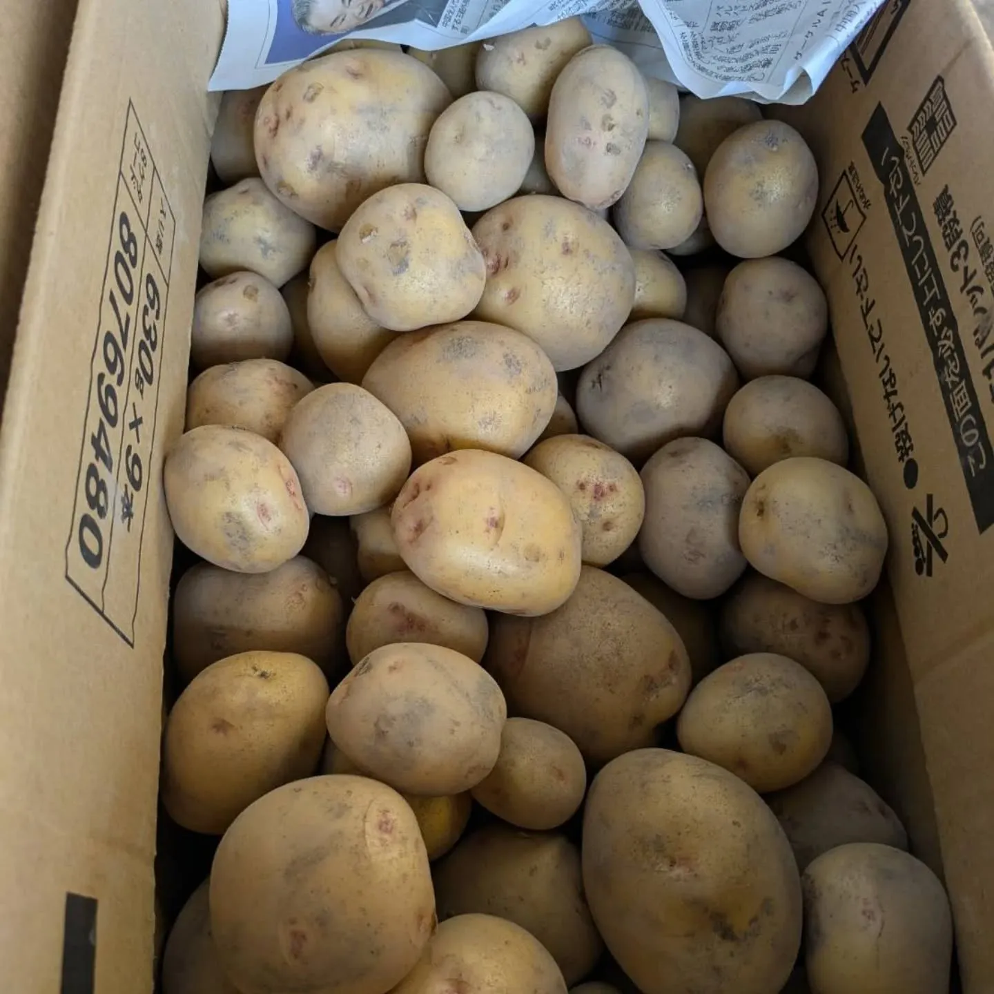 ワケあり野菜果物販売所です。