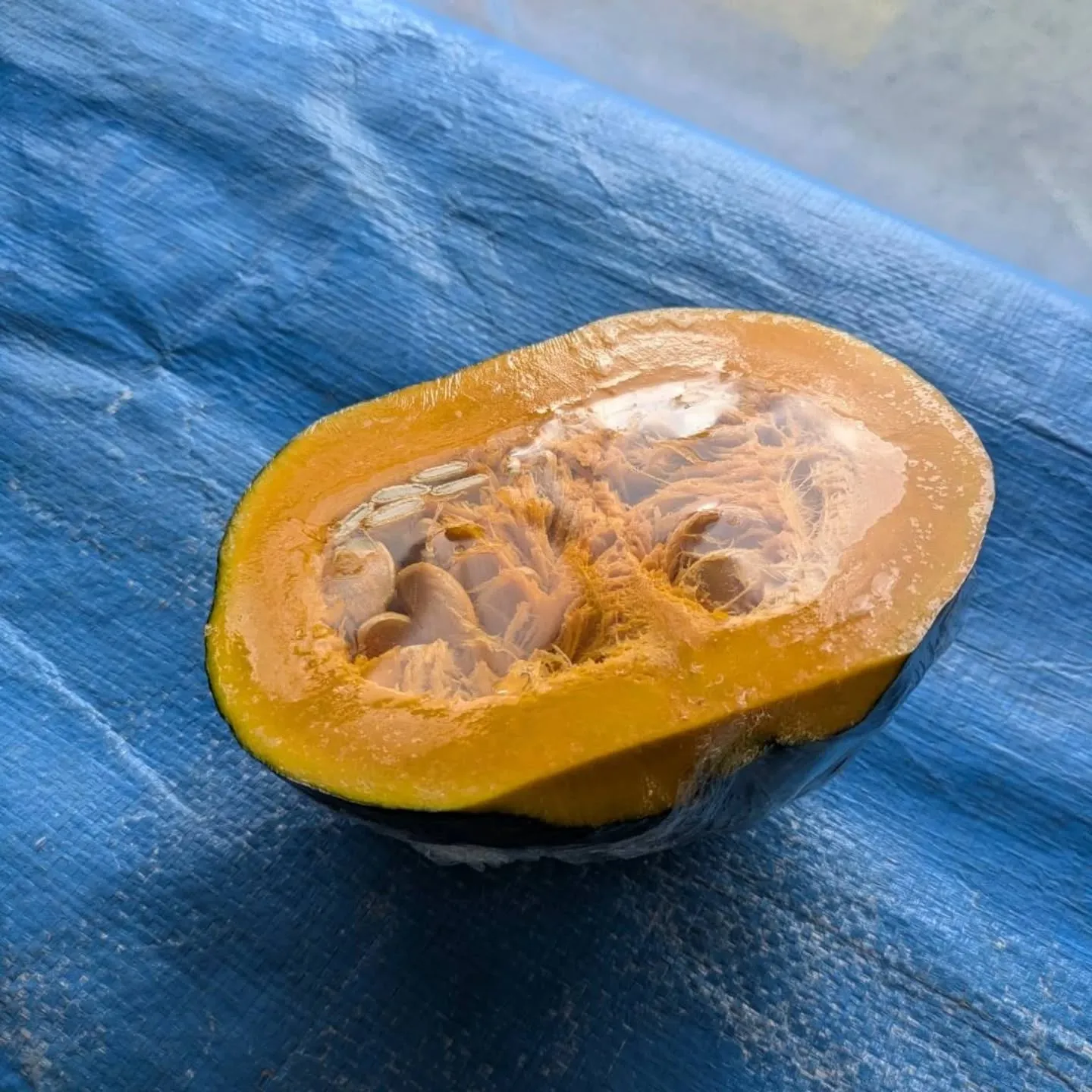 ナナナント⁉️