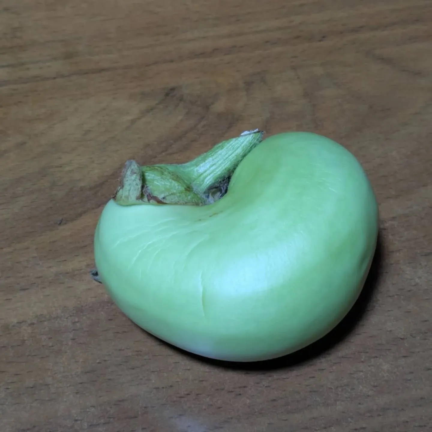 八代トマト🍅