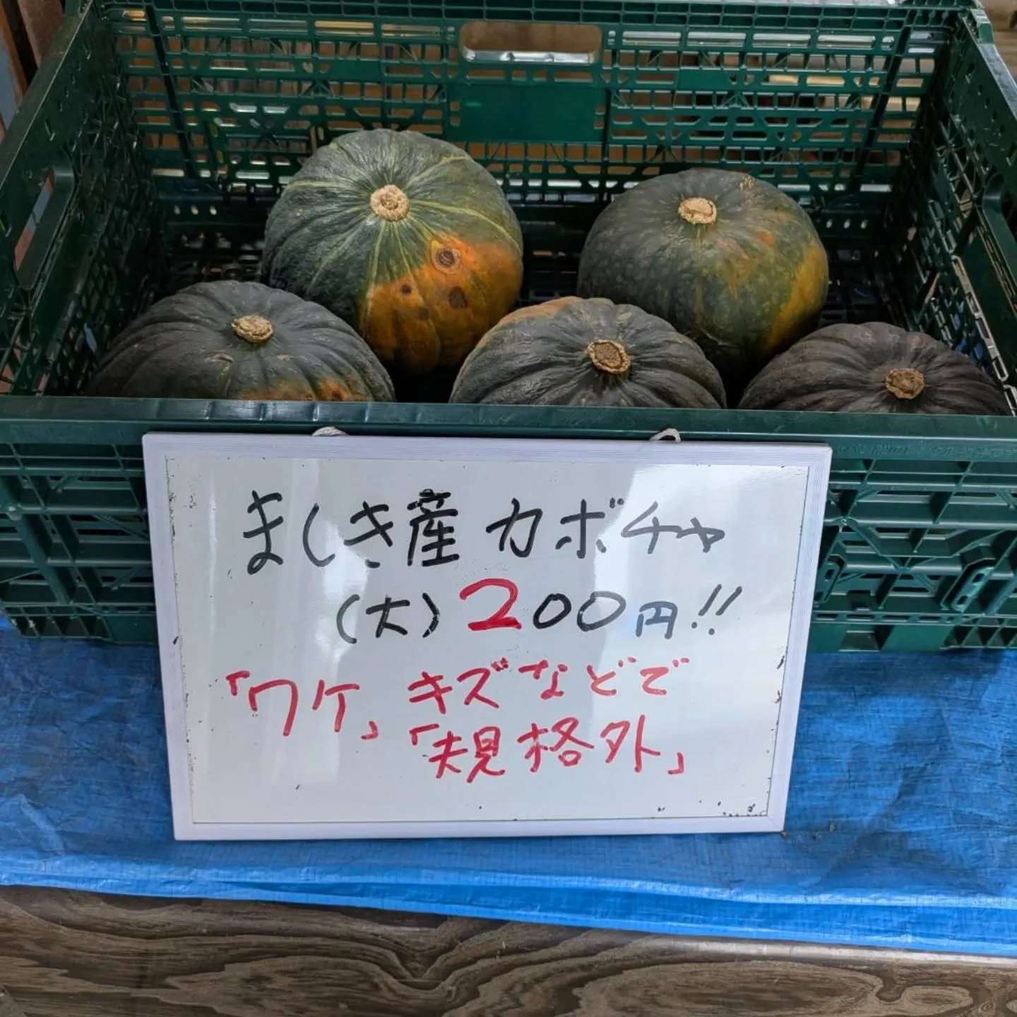 カボチャ🎃、まさかの追加で大量入荷‼️😆