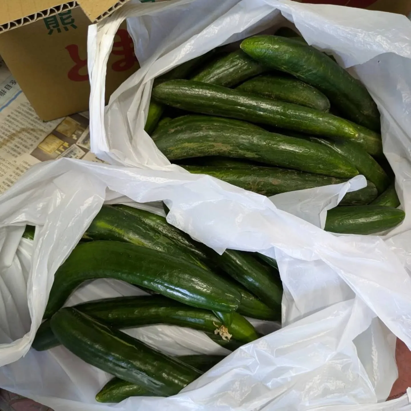 前回の投稿で野菜入んないな~と思ってたら…