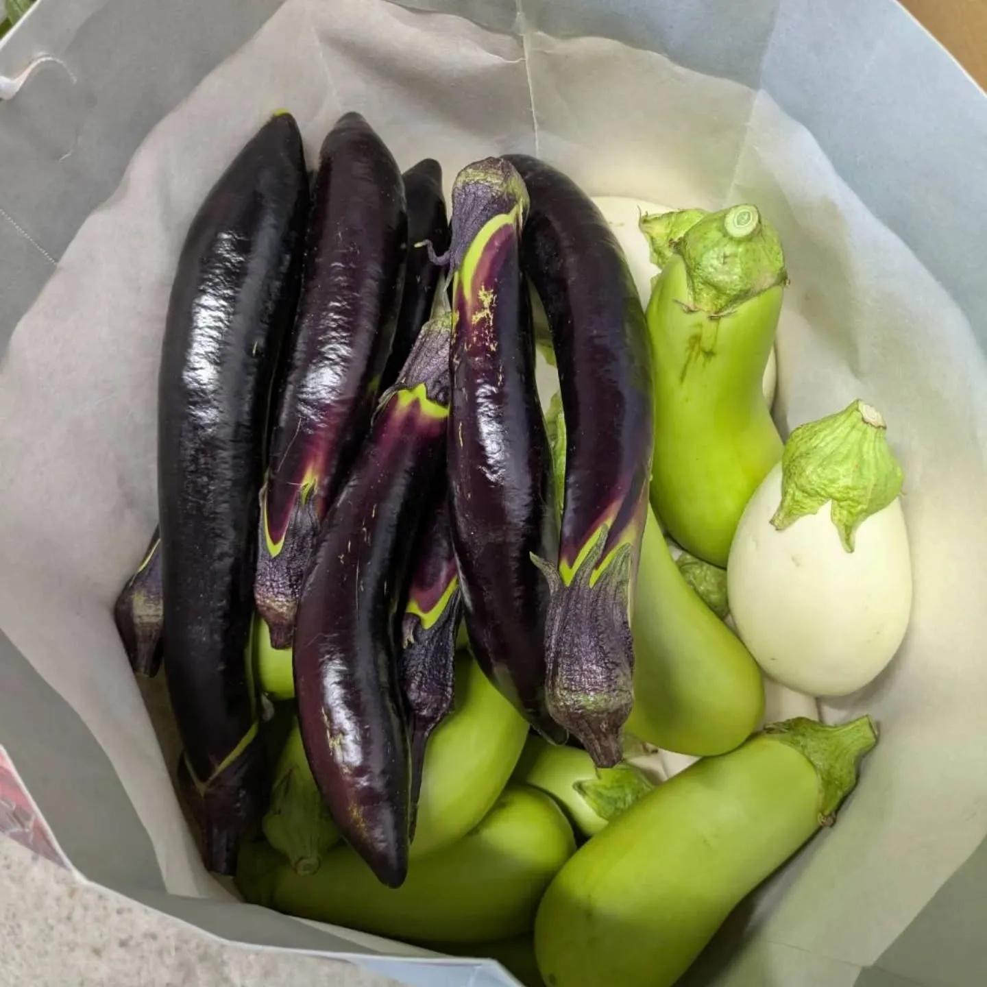 前回の投稿で野菜入んないな~と思ってたら…