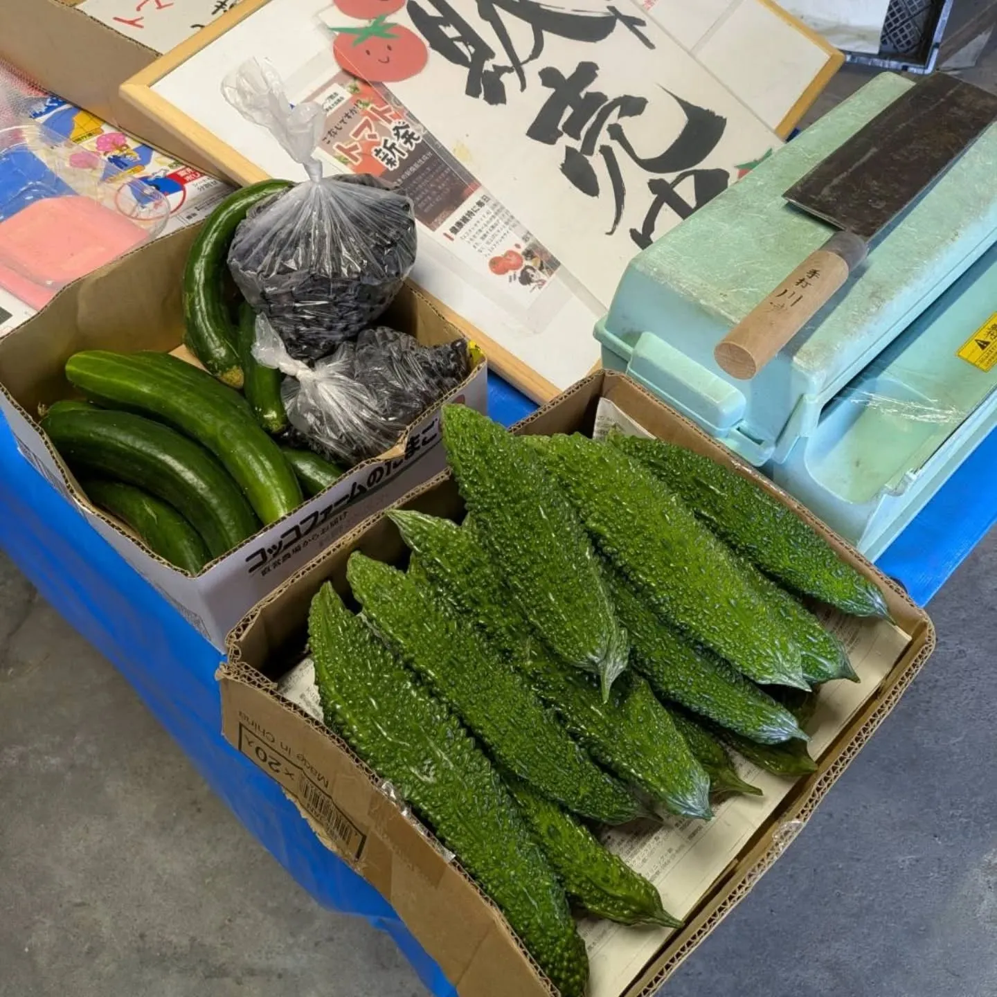 ブルーベリー🫐