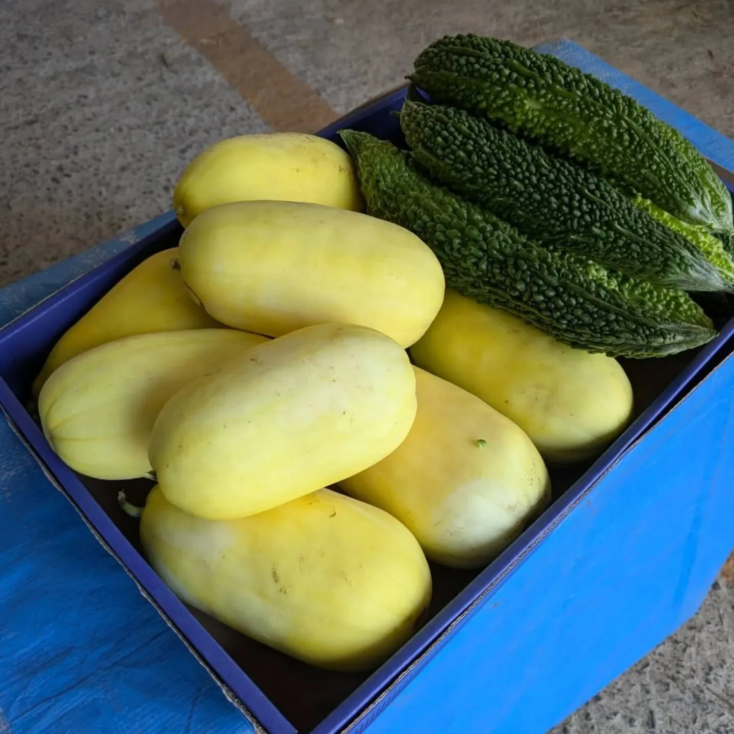 前回、昭和50年代の懐かしさと素朴な甘さで好評だった「マクワ...