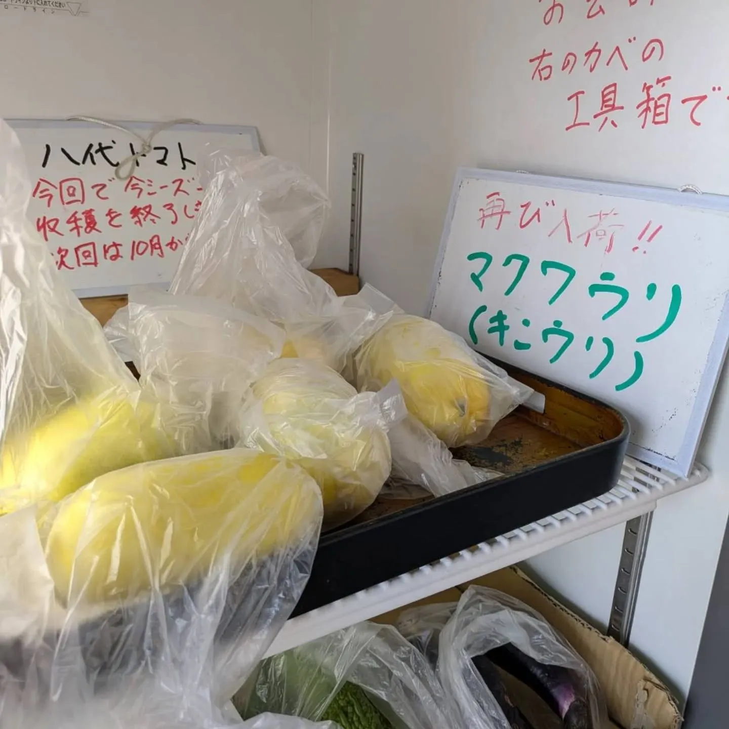 前回、昭和50年代の懐かしさと素朴な甘さで好評だった「マクワ...