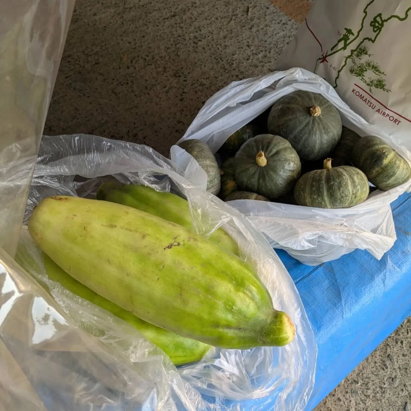 一昨日とはまた別の個人の農家さんが、珍しい野菜を持ち込んでく...