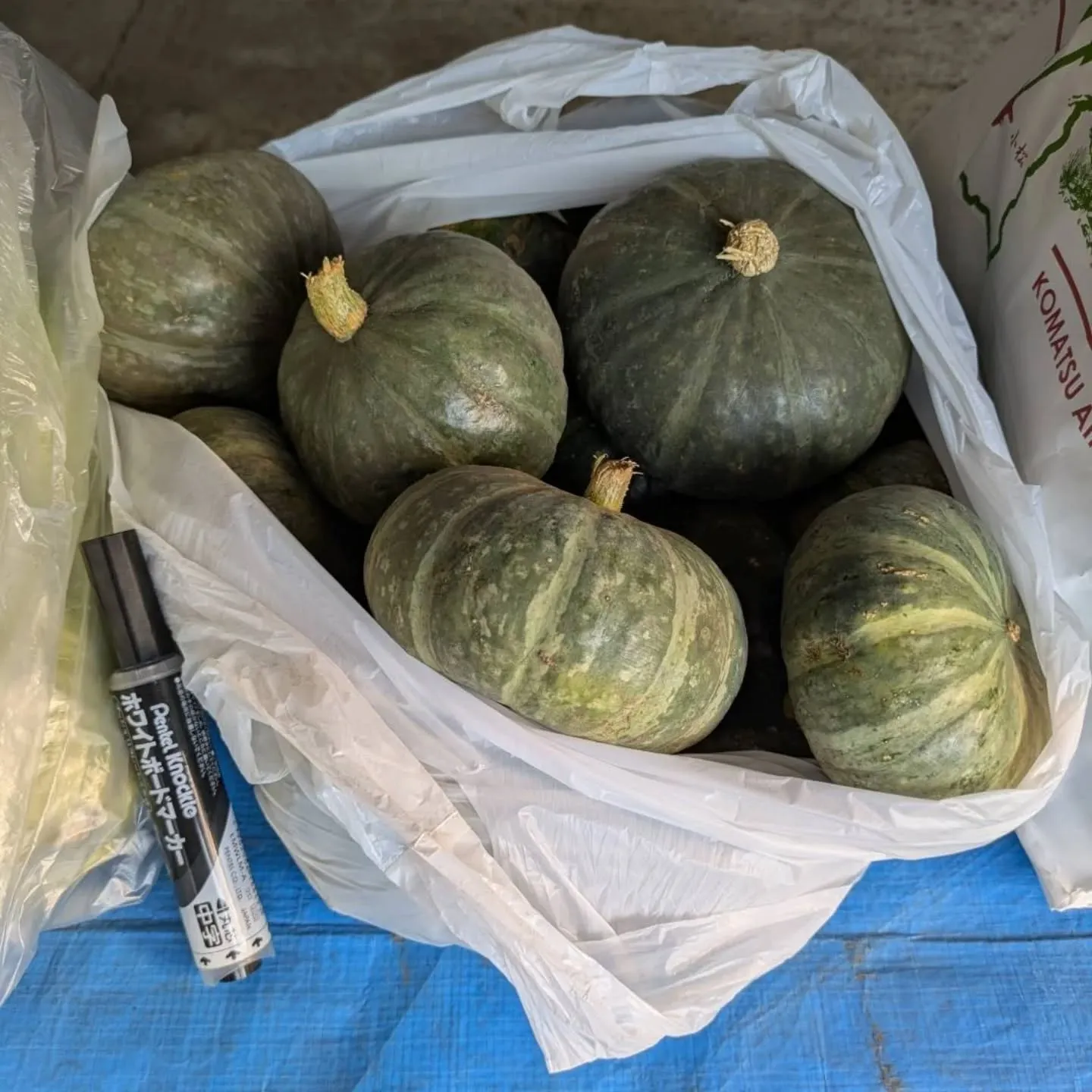 一昨日とはまた別の個人の農家さんが、珍しい野菜を持ち込んでく...