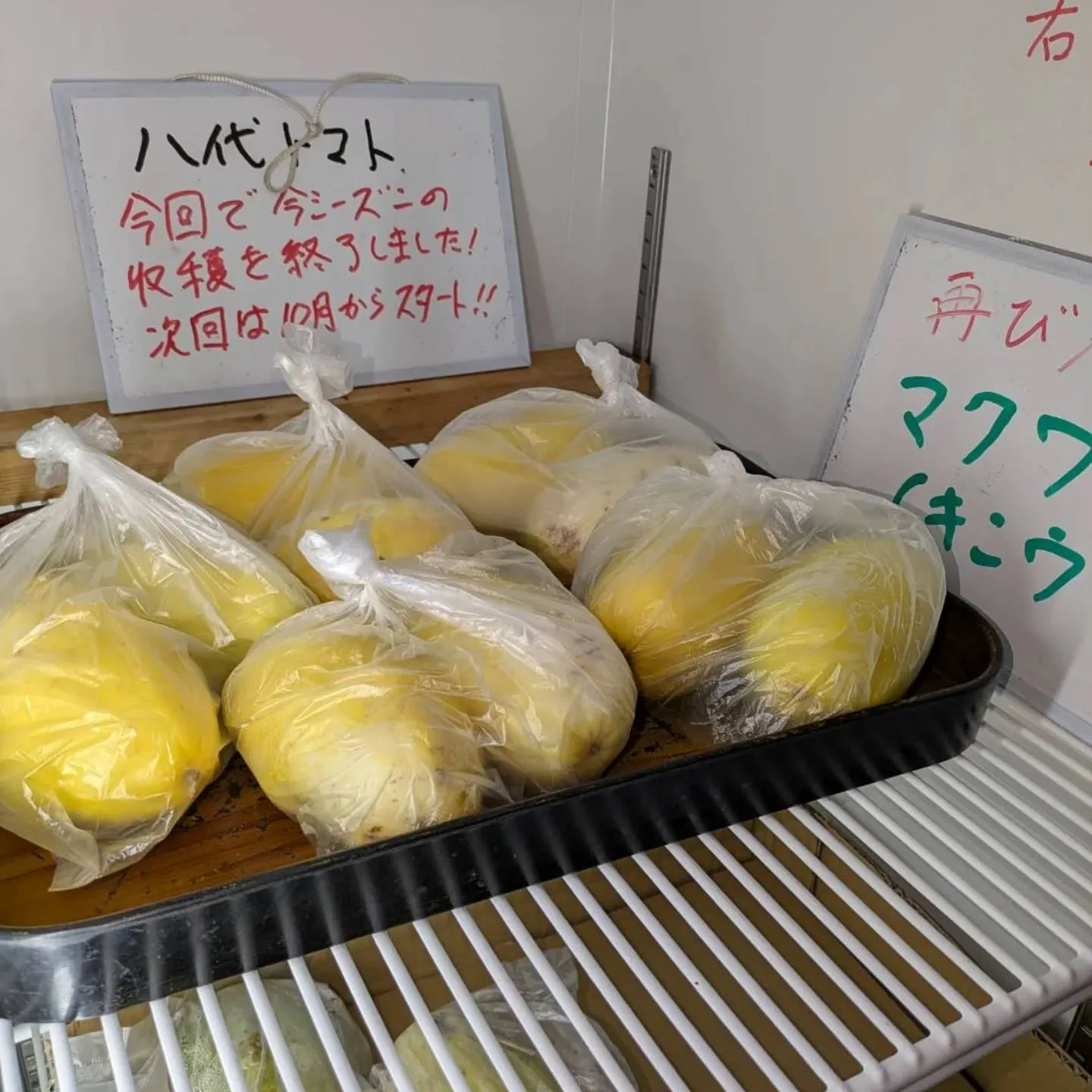 マクワウリ、2個セット100円でサービス中です‼️