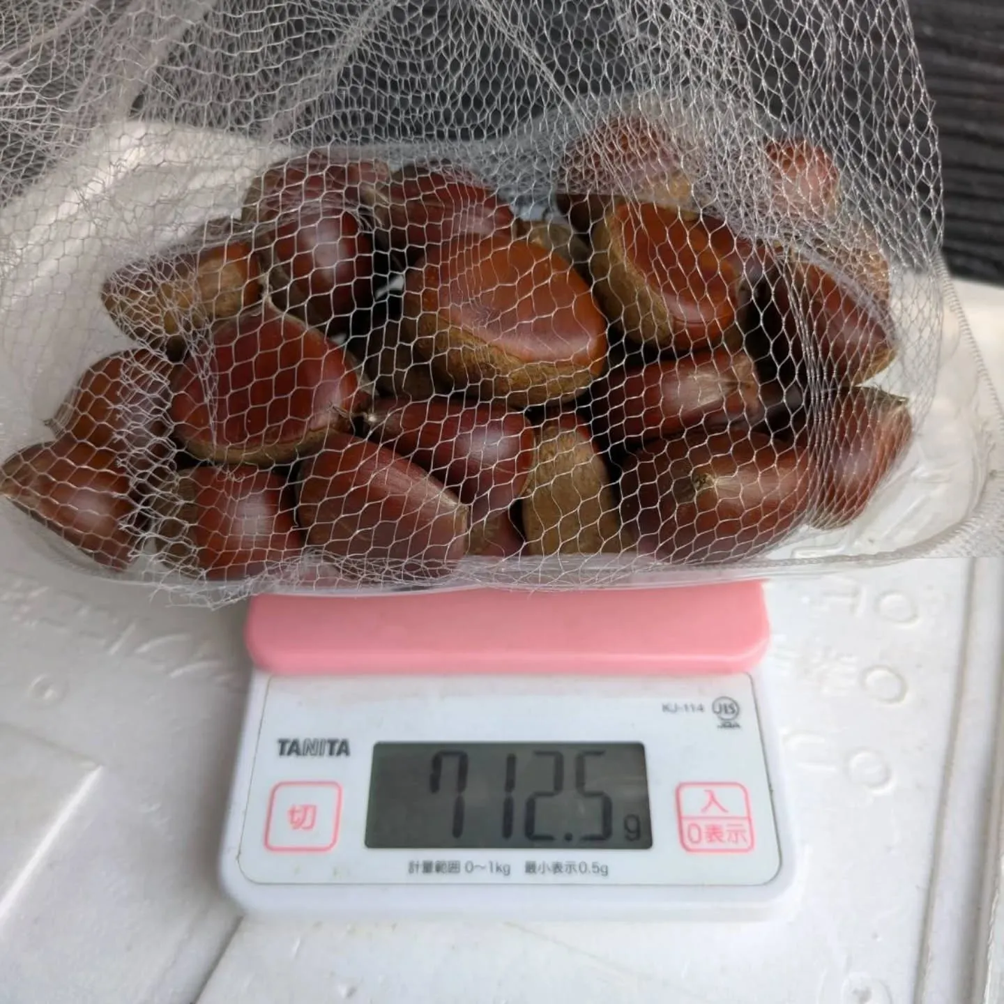 初物の栗🌰入荷しました❗️