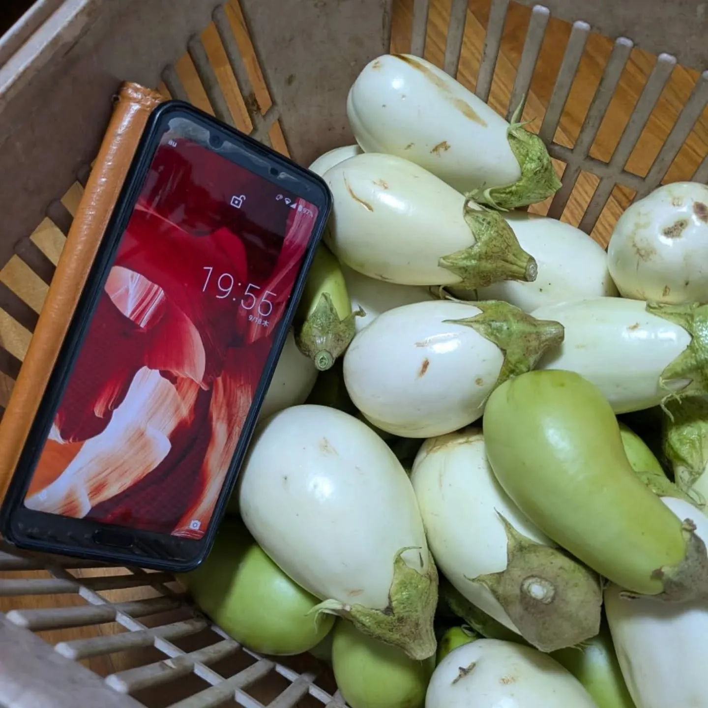 昨夕、また別の個人の農家さんから久しぶりの白ナスを入荷して頂...