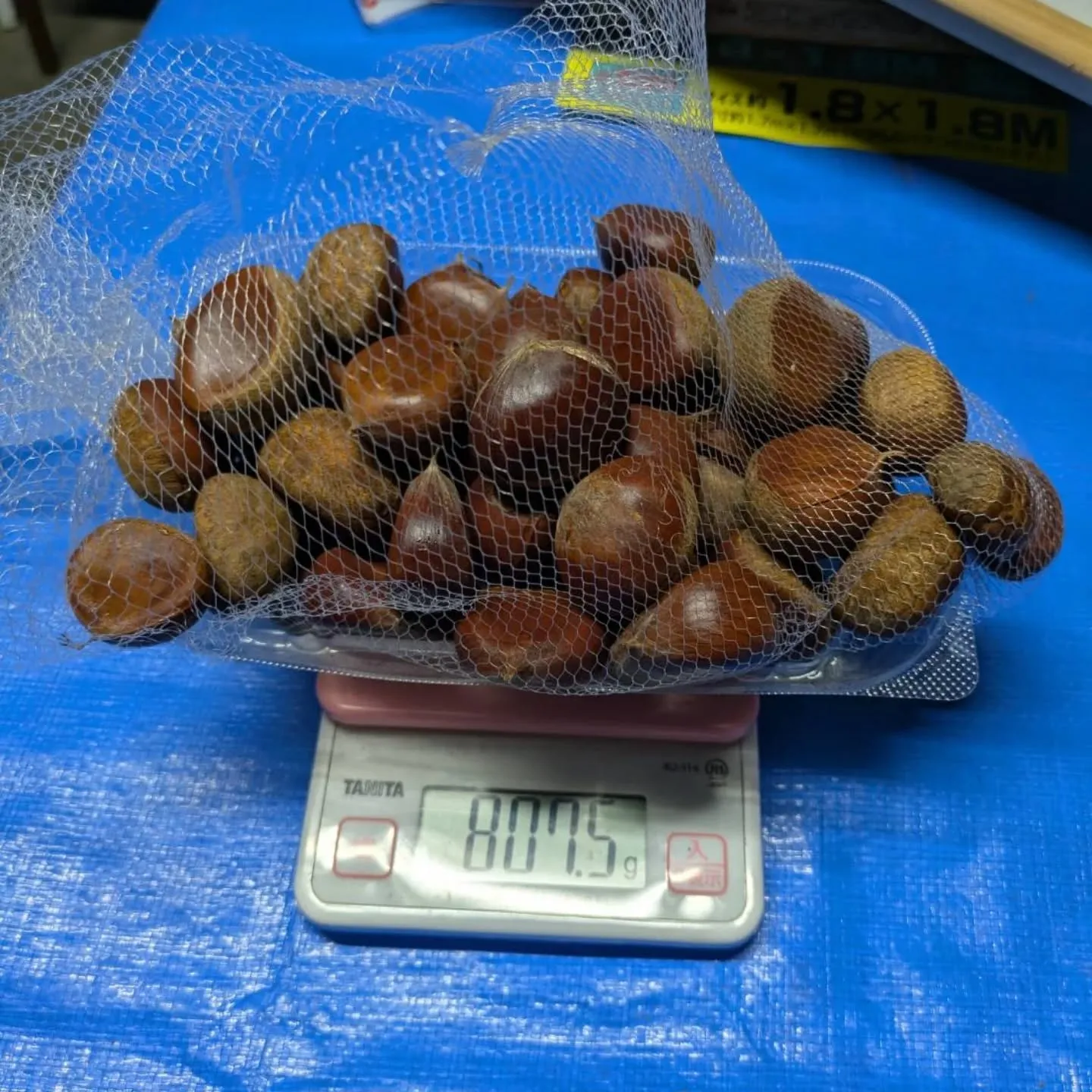 🌰栗、再入荷しました❗️