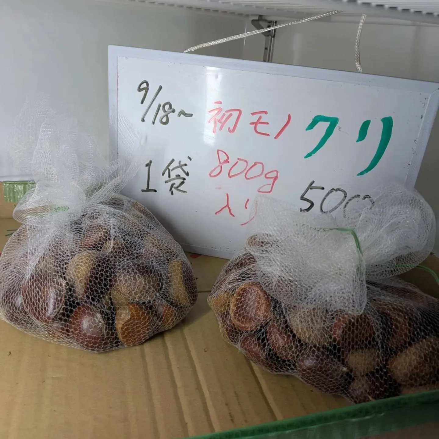🌰栗、再入荷しました❗️