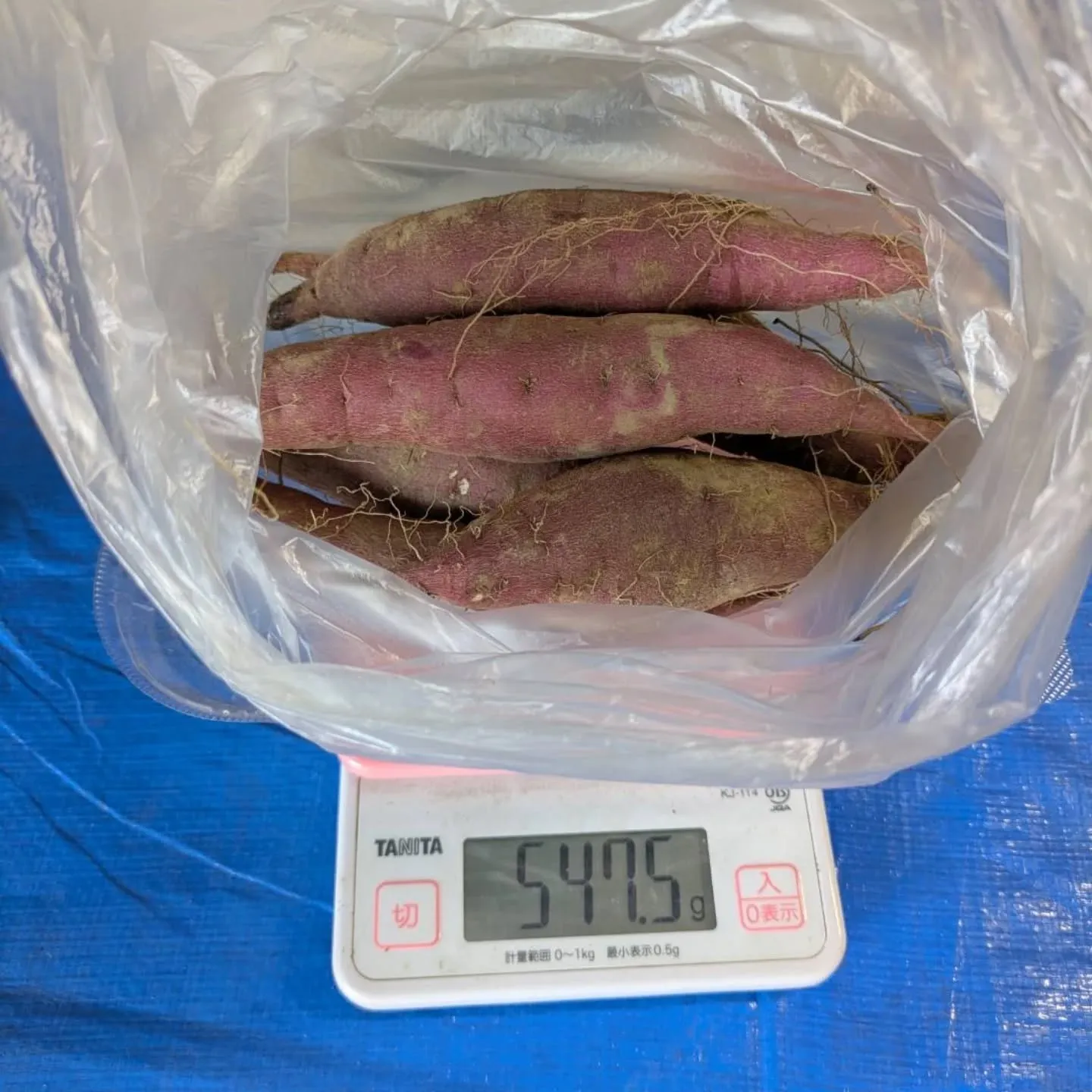 地元産紅はるか🍠