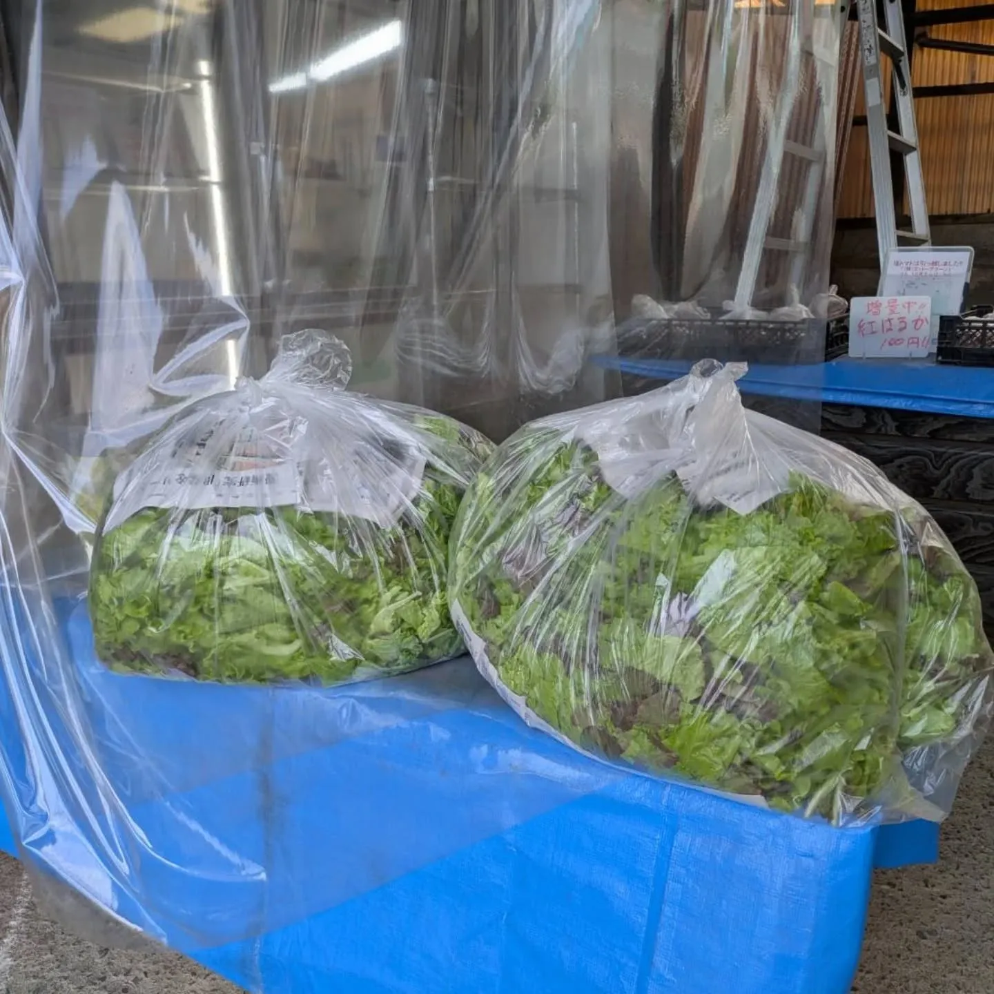 ワケあり野菜果物販売所です。