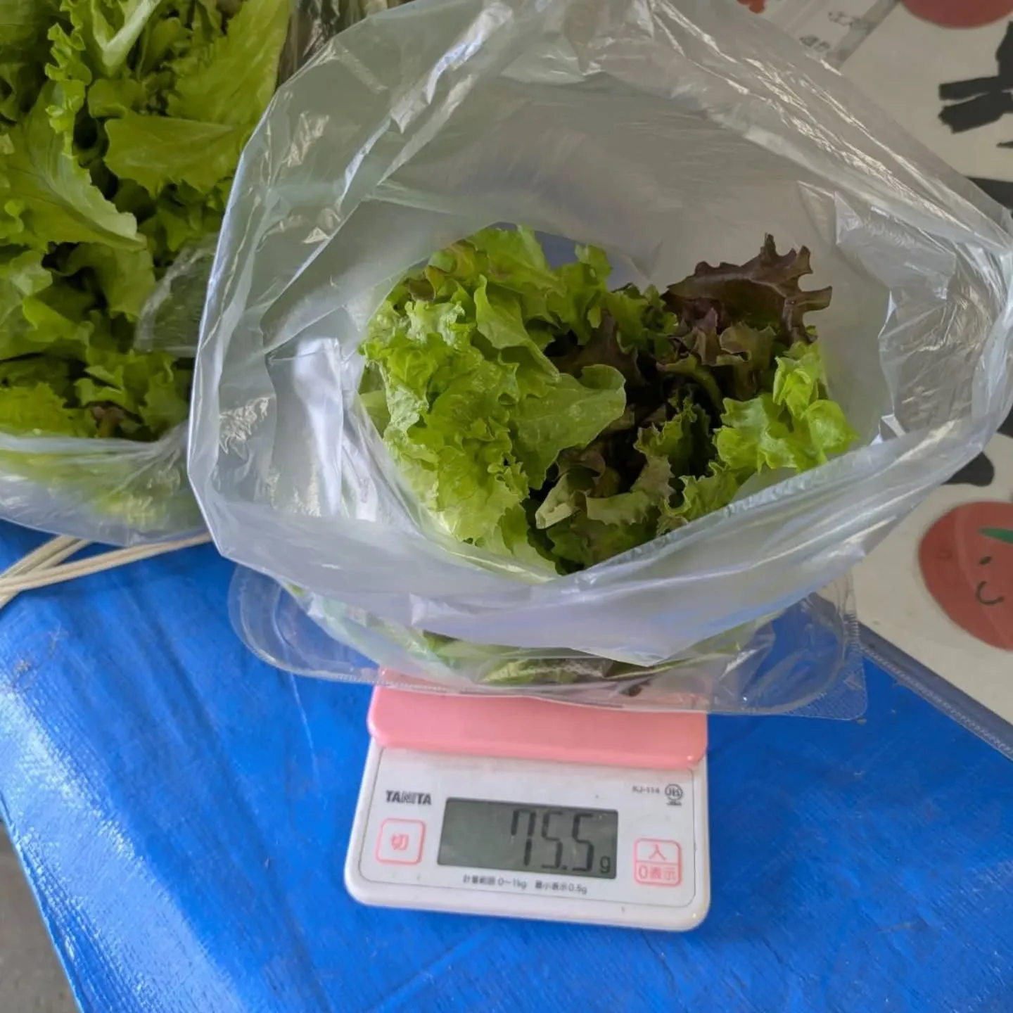 ワケあり野菜果物販売所です。