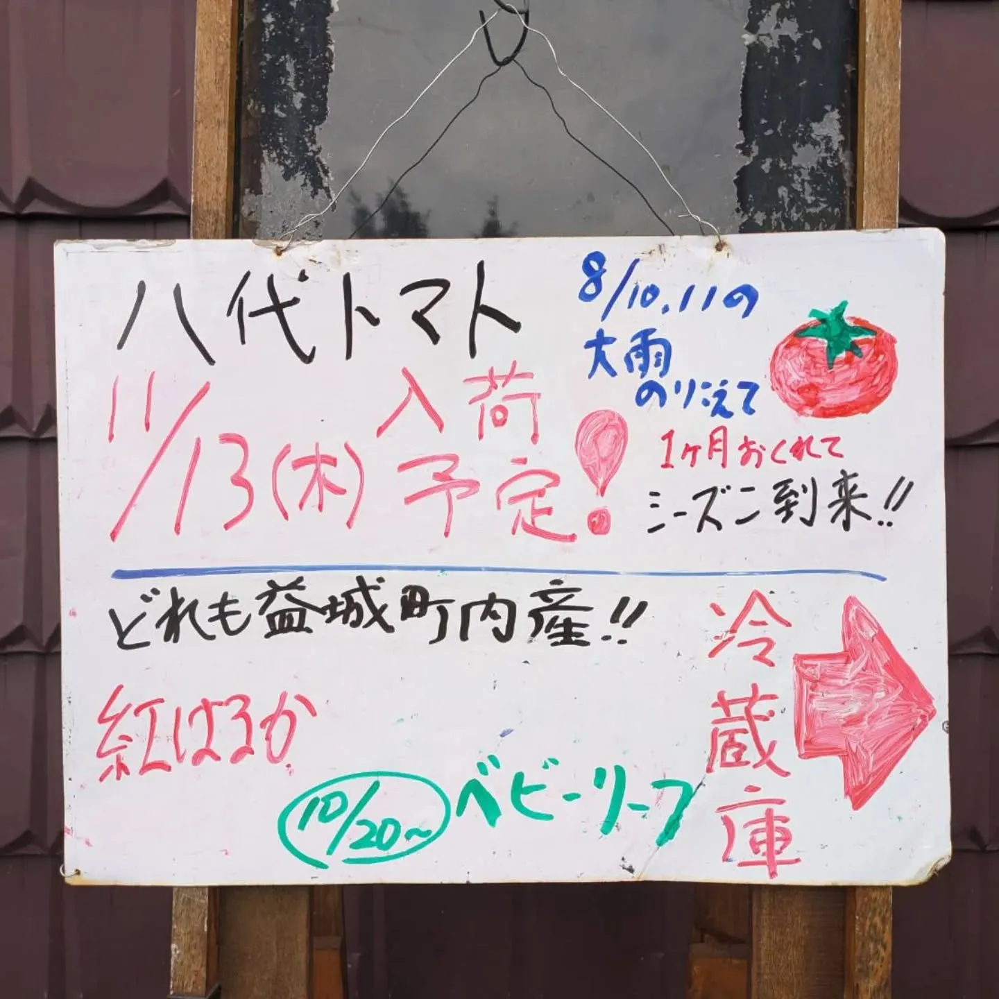 皆さんお待たせ致しました❗️