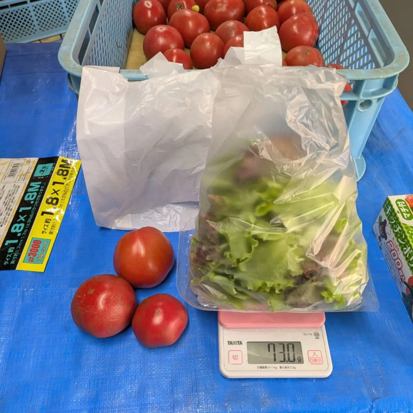 明日1月1日と2日は、八代トマト🍅と益城町産ベビーリーフを無...
