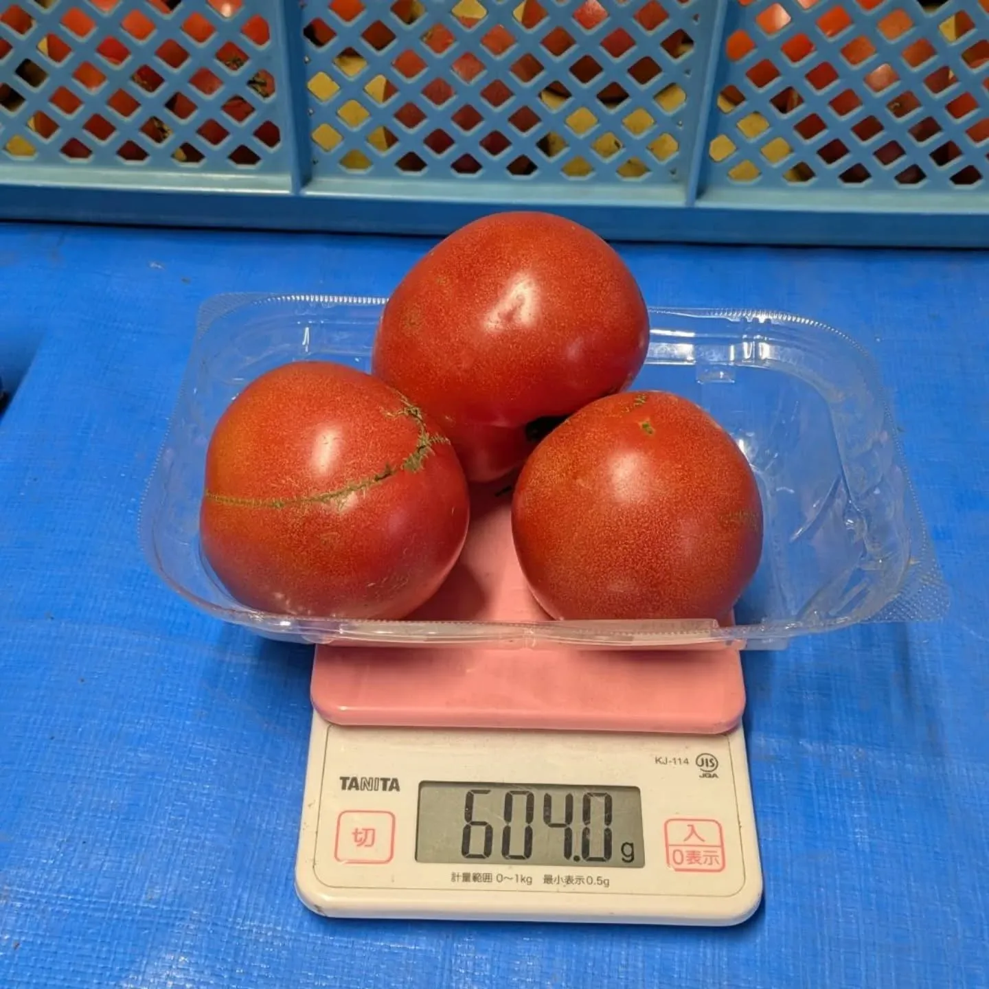 明けましておめでとうございます㊗️