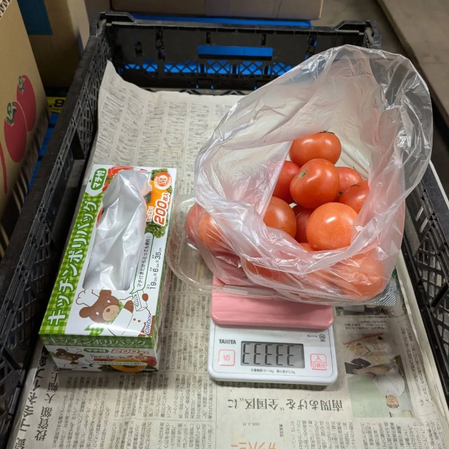 本日、八代トマト🍅の詰め放題にします‼️😆