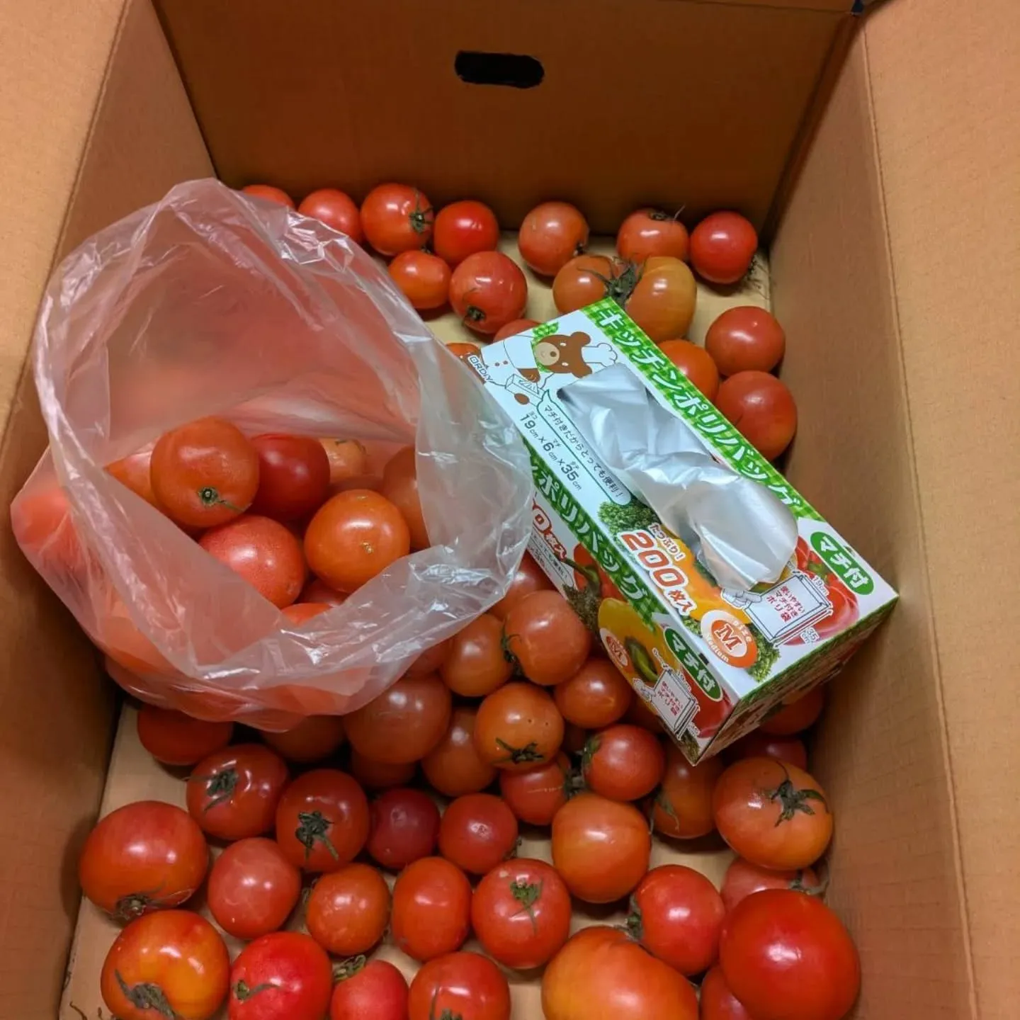 本日、八代トマト🍅の詰め放題にします‼️😆