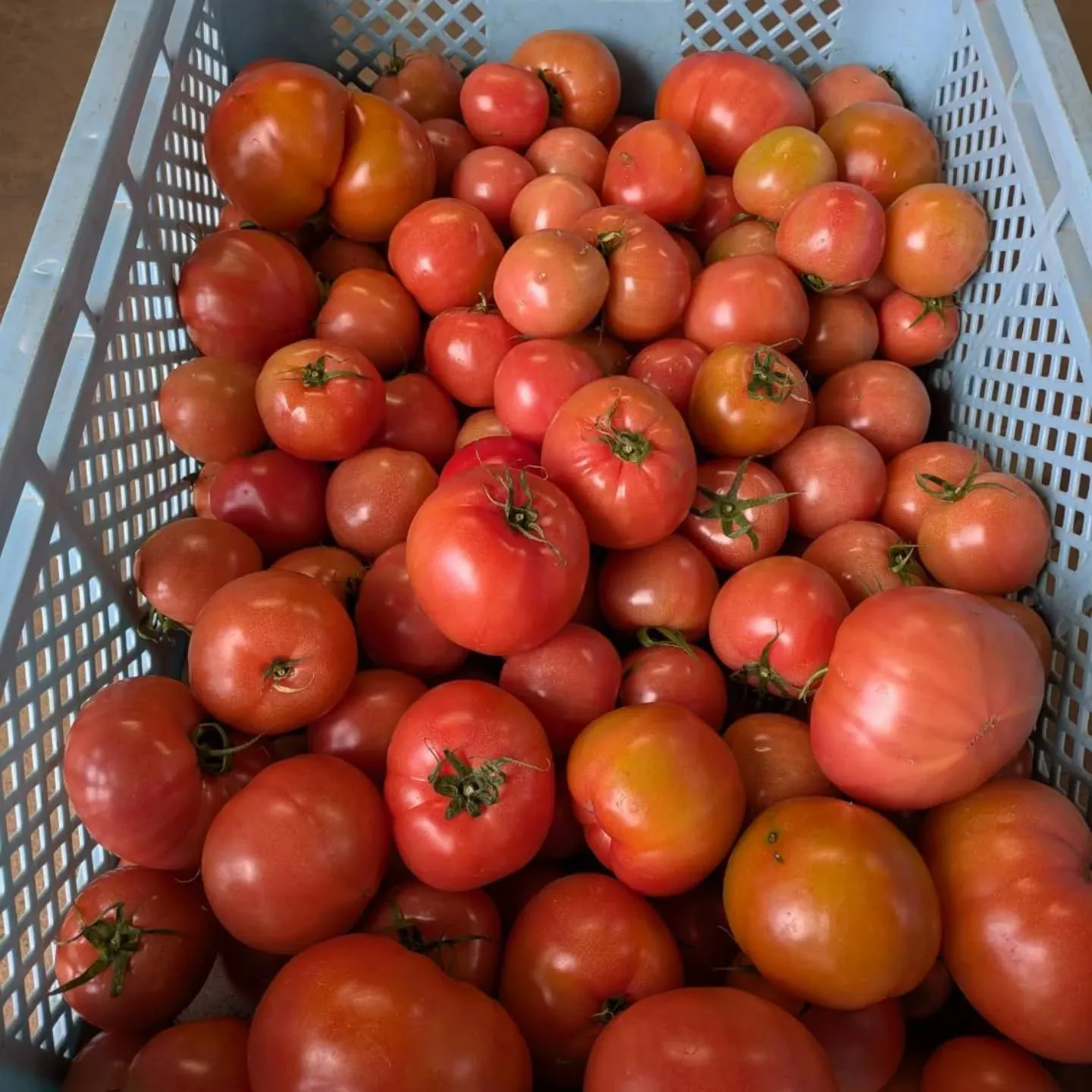ワケあり野菜果物販売所です。