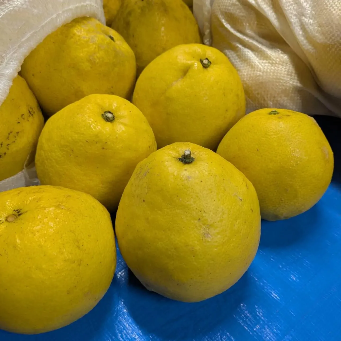 ワケあり野菜果物販売所です。