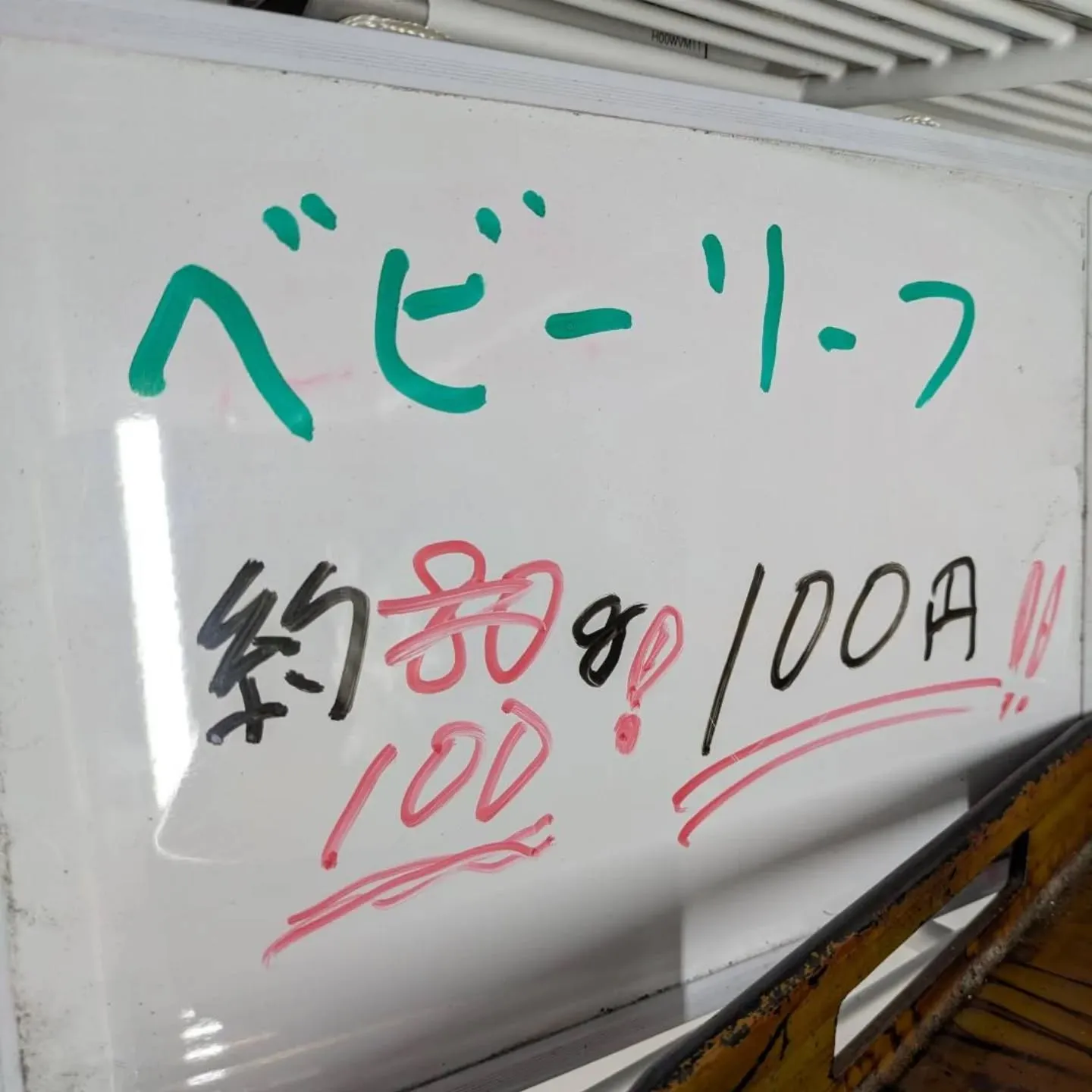 ベビーリーフ、追加で大量に入荷しました❗