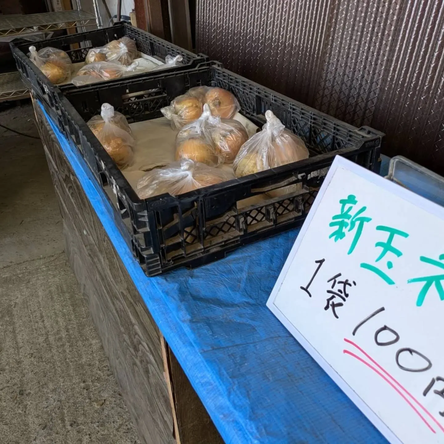 今週も八代トマト🍅入荷しました❗️