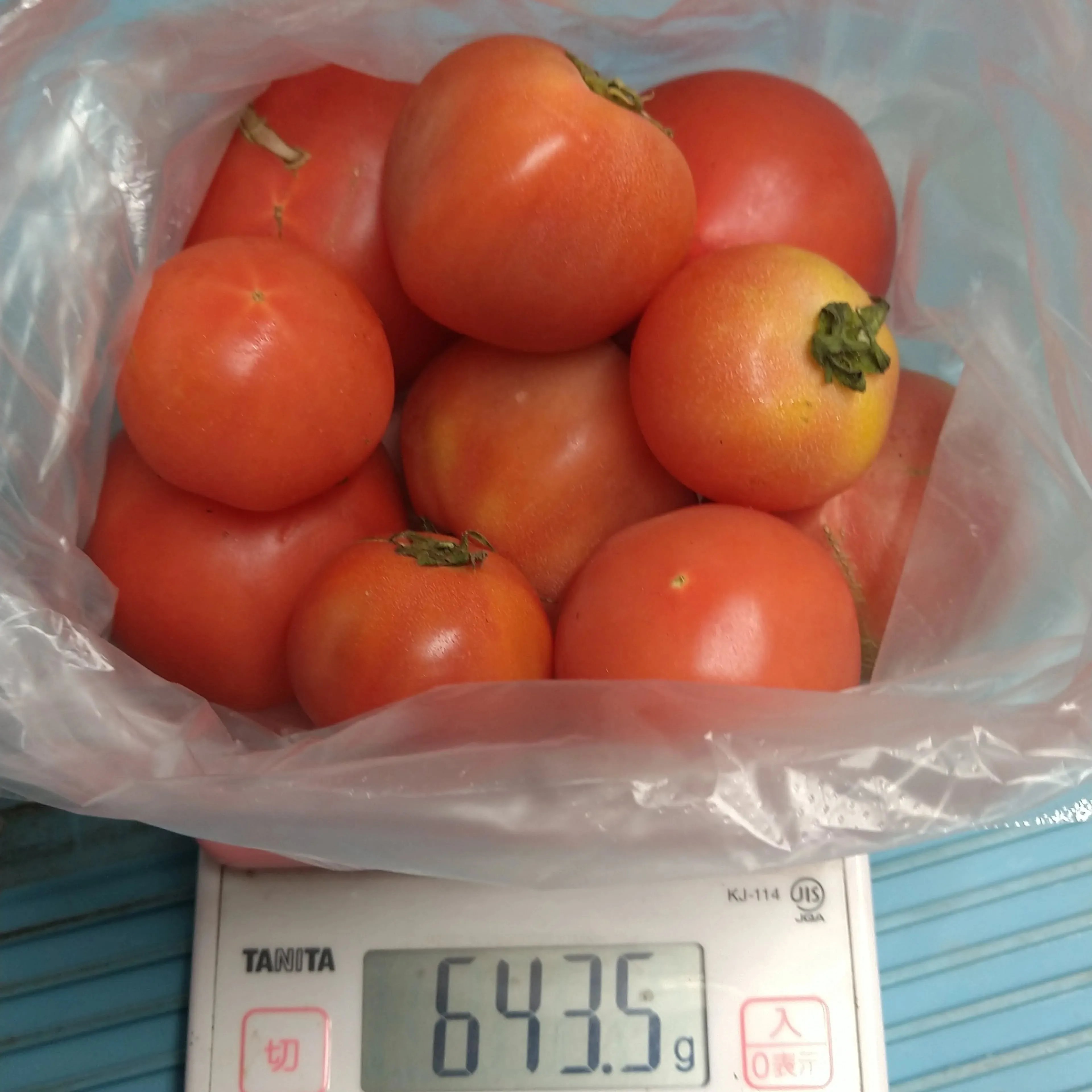 八代トマト、入荷前につき、増量して放出販売します‼️🍅