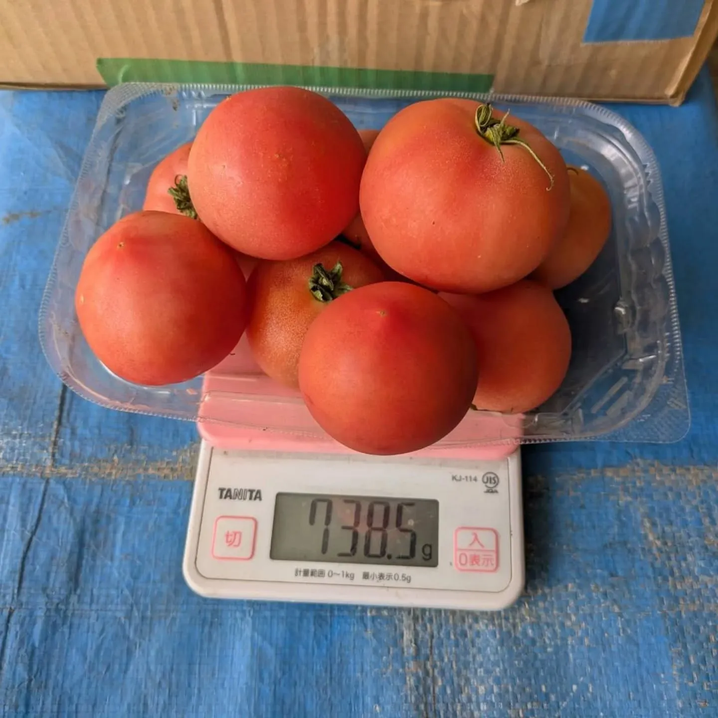 今週末は、トマト増量します‼️🍅