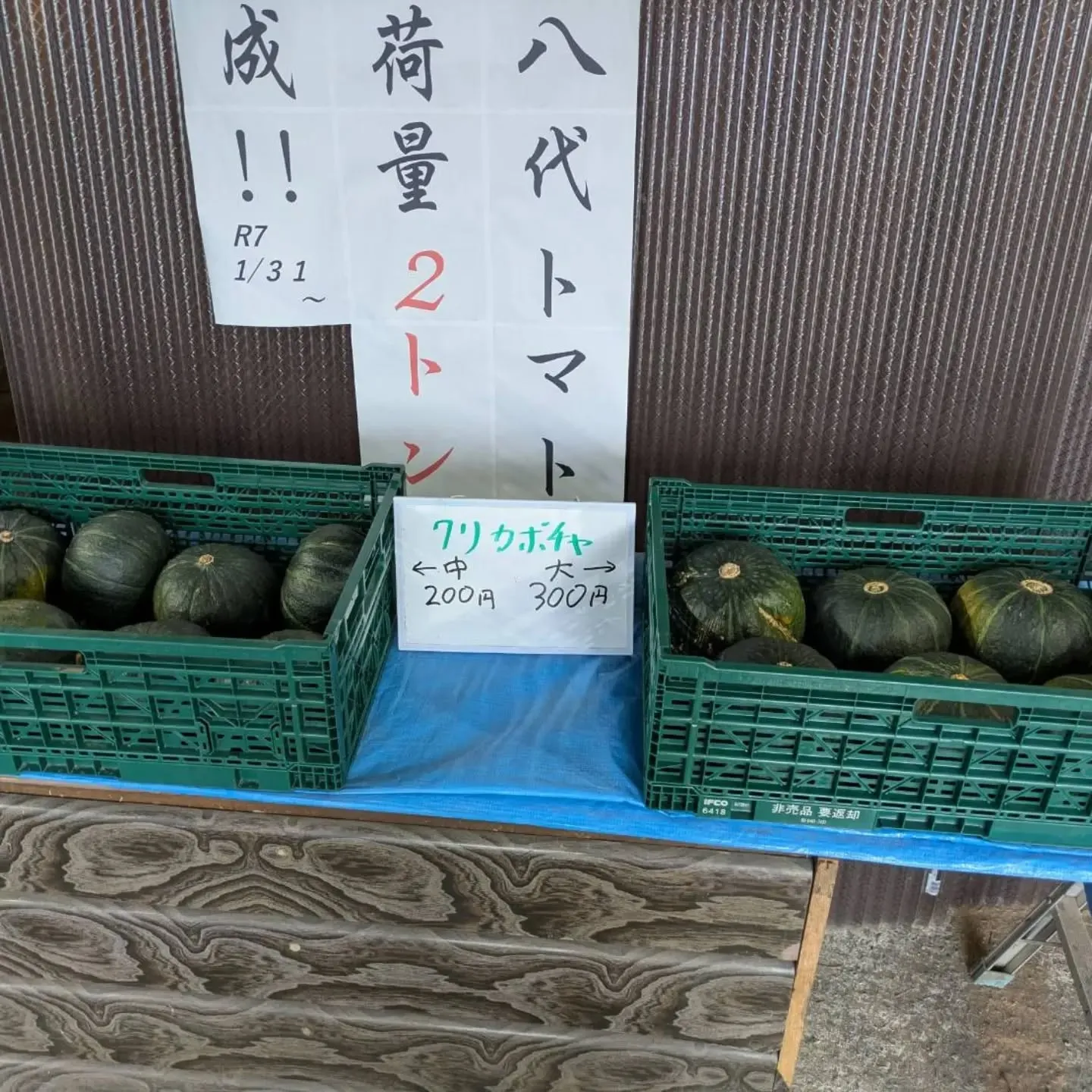 今年も入りました～